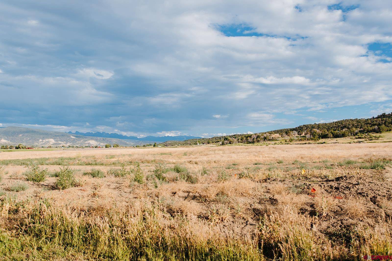 Montrose, CO 81403,Lot 9 6830 Road
