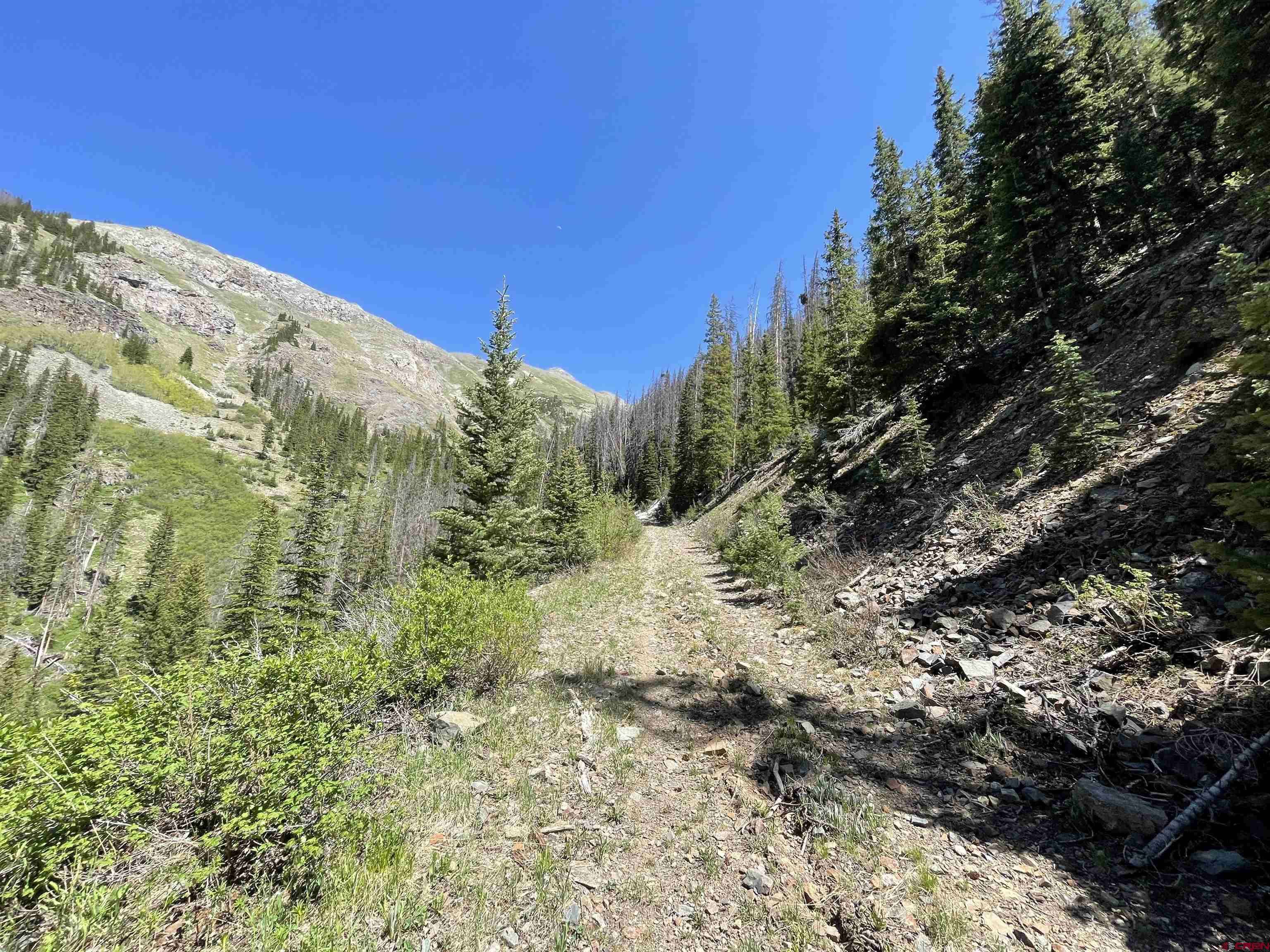 Silverton, CO 81433,Camp Bird Old Stoney Pass