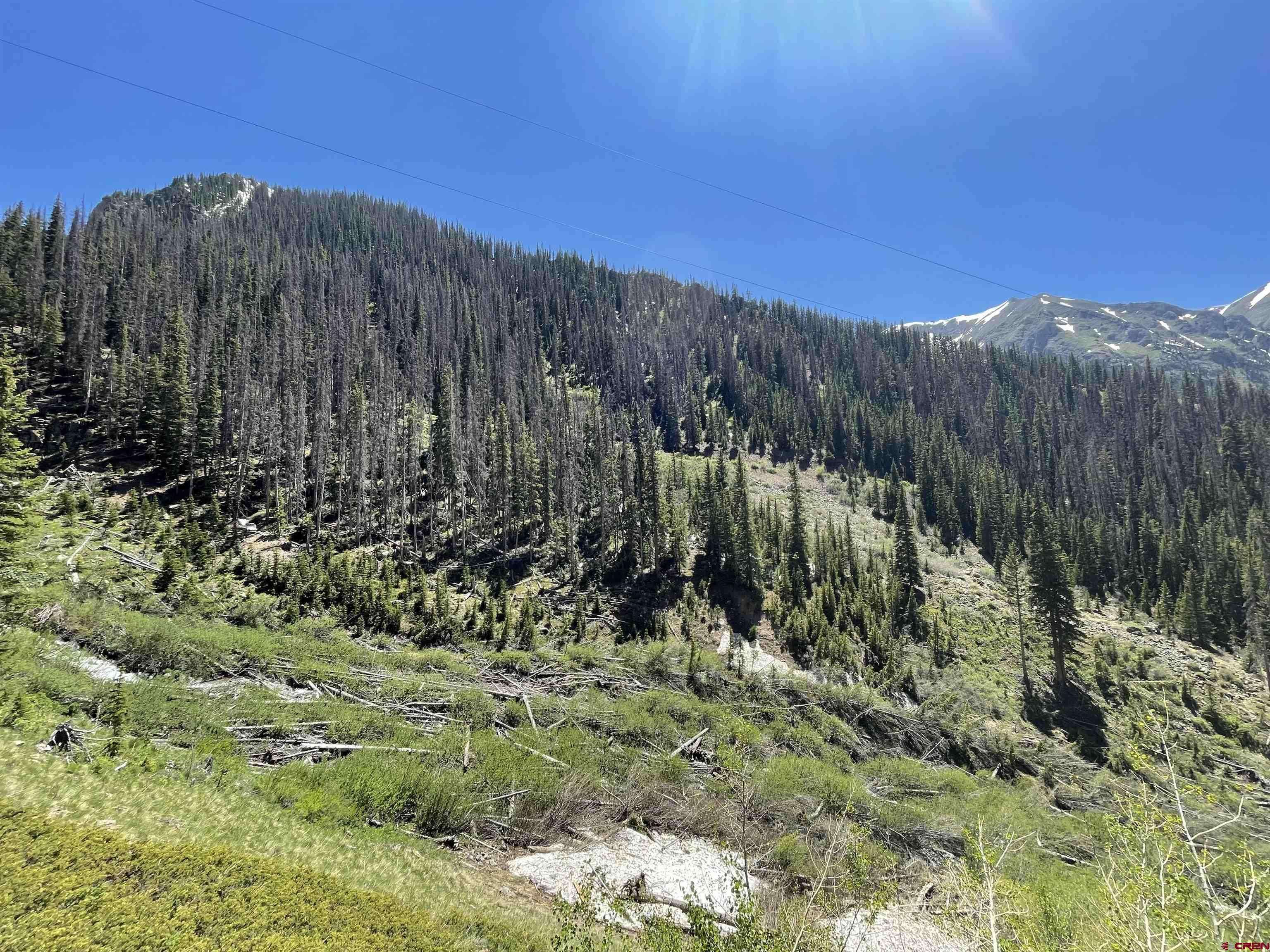 Silverton, CO 81433,Camp Bird Old Stoney Pass
