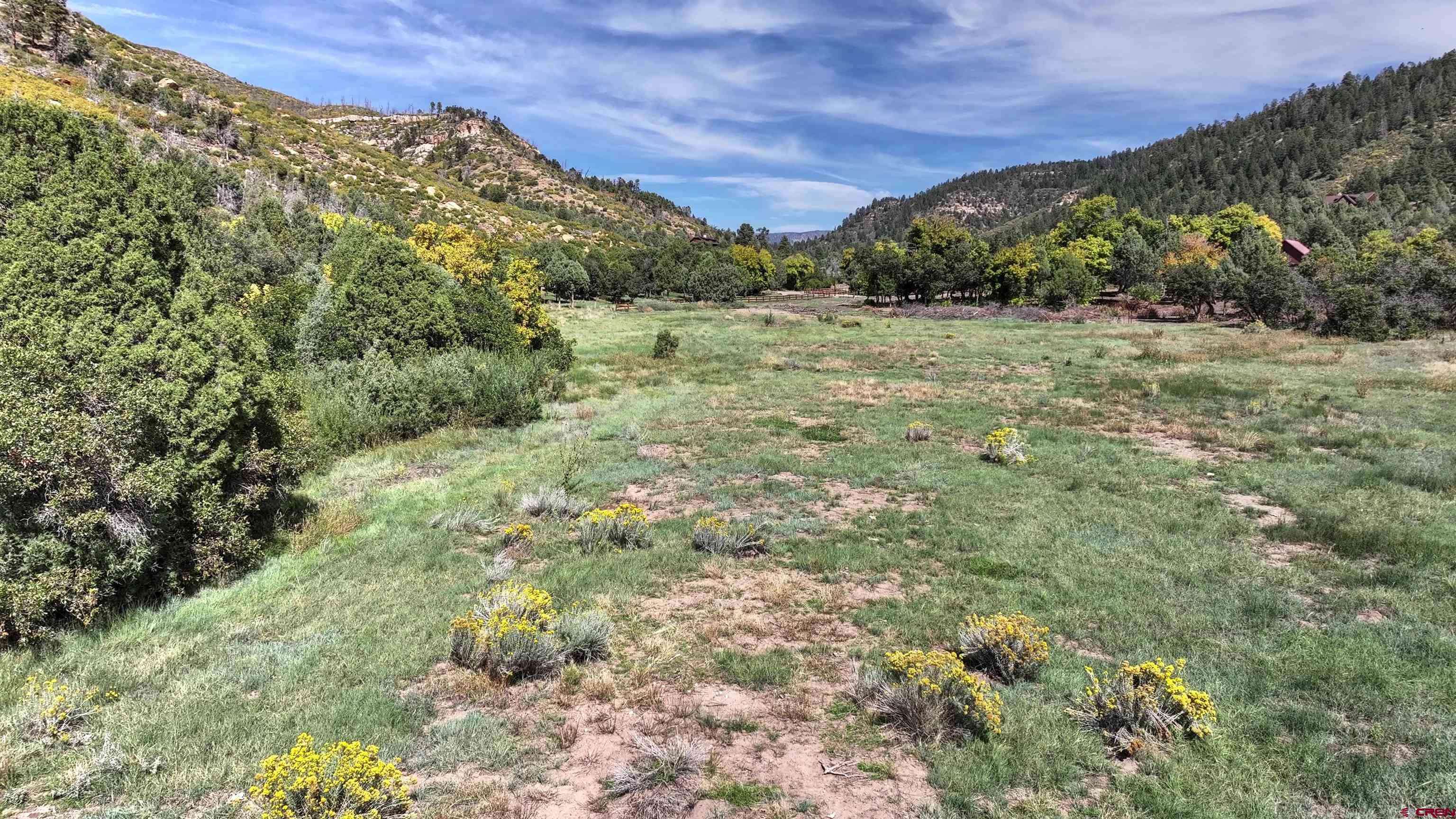 Mancos, CO 81328,TBD Road 46