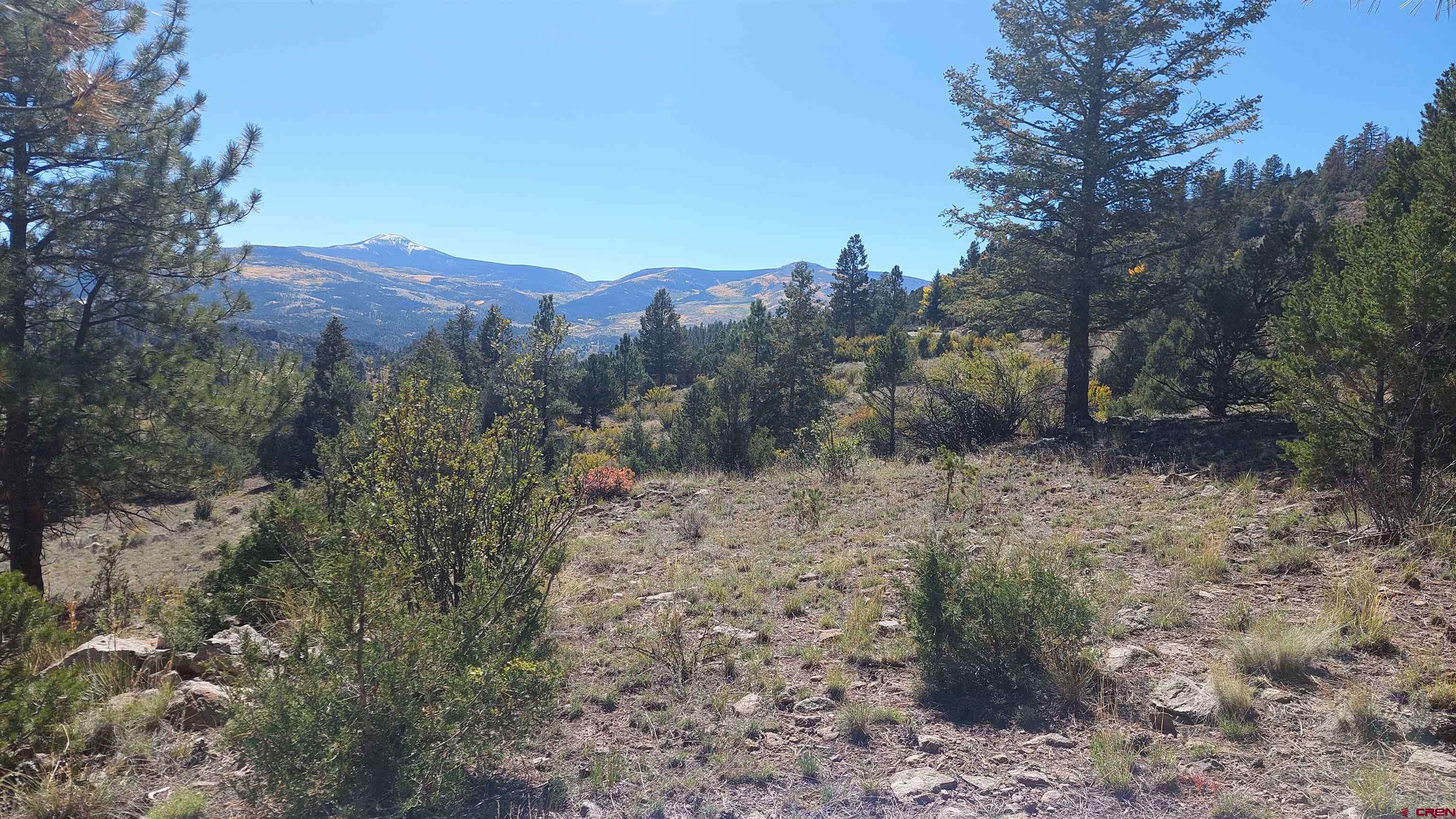 South Fork, CO 81154,1685 Bear Creek Cir