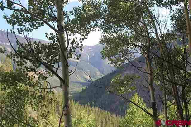 Lake City, CO 81235,TBD N Henson Creek Road