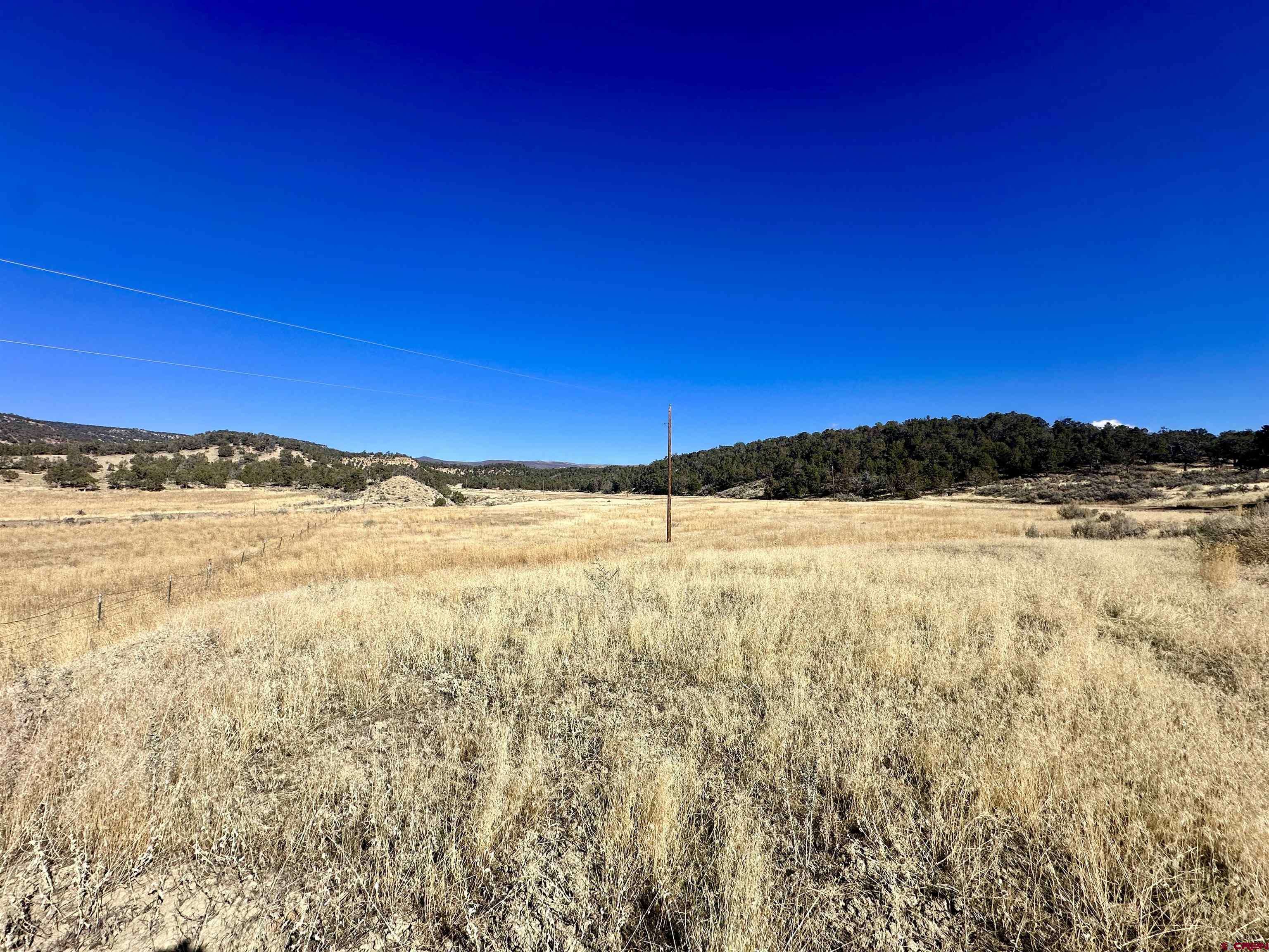Cedaredge, CO 81413,TBD Cactus Park RD