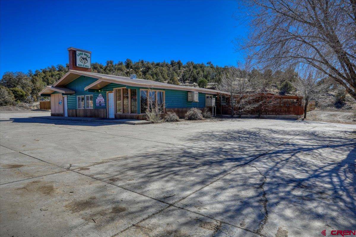 Arboles, CO 81121,20 Sunset Trail