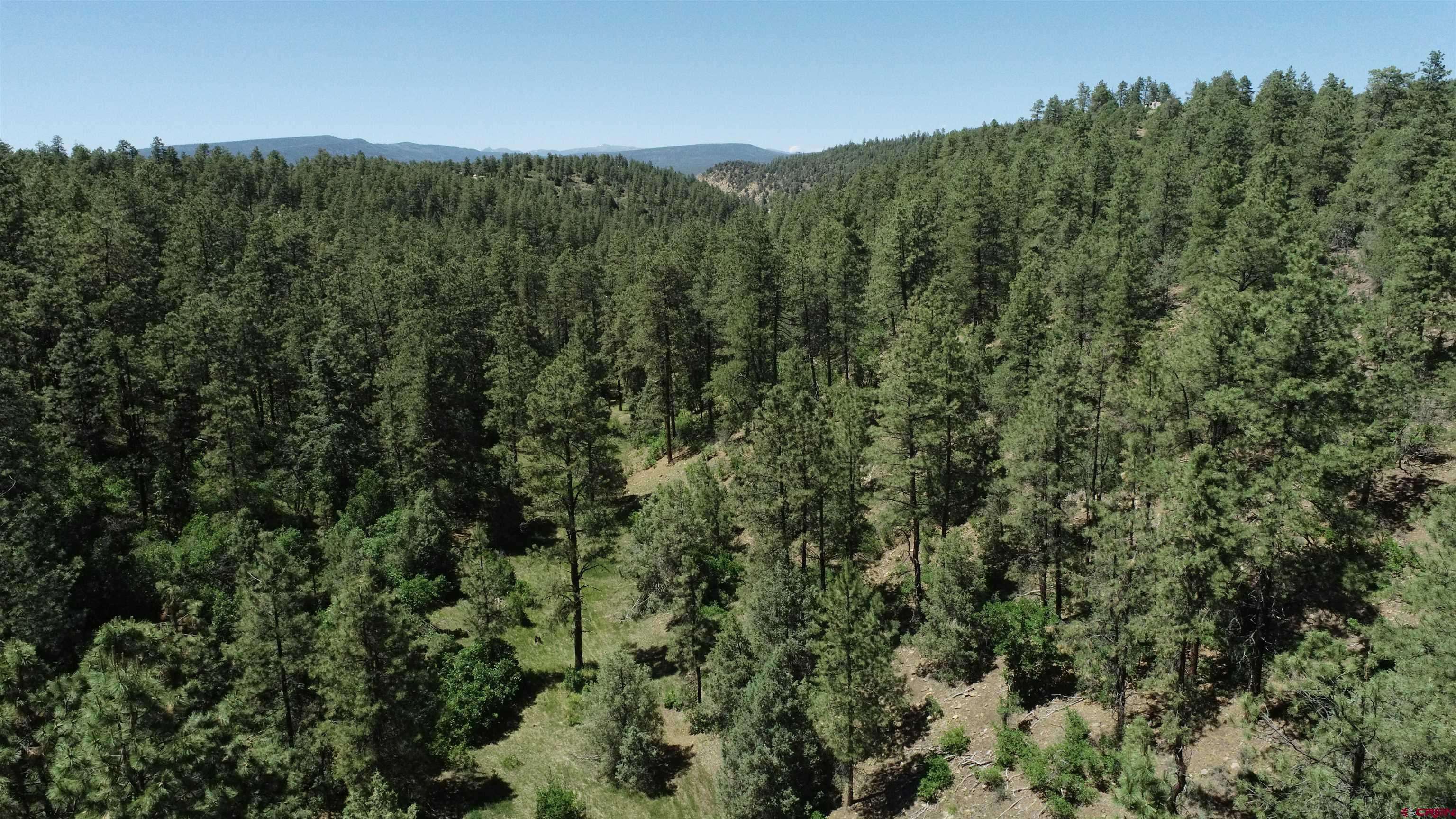 Pagosa Springs, CO 81147,2620/76,2868/92 Crooked Road