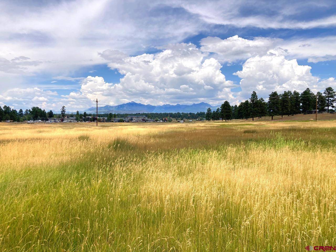 Pagosa Springs, CO 81147,77 W McCabe Street