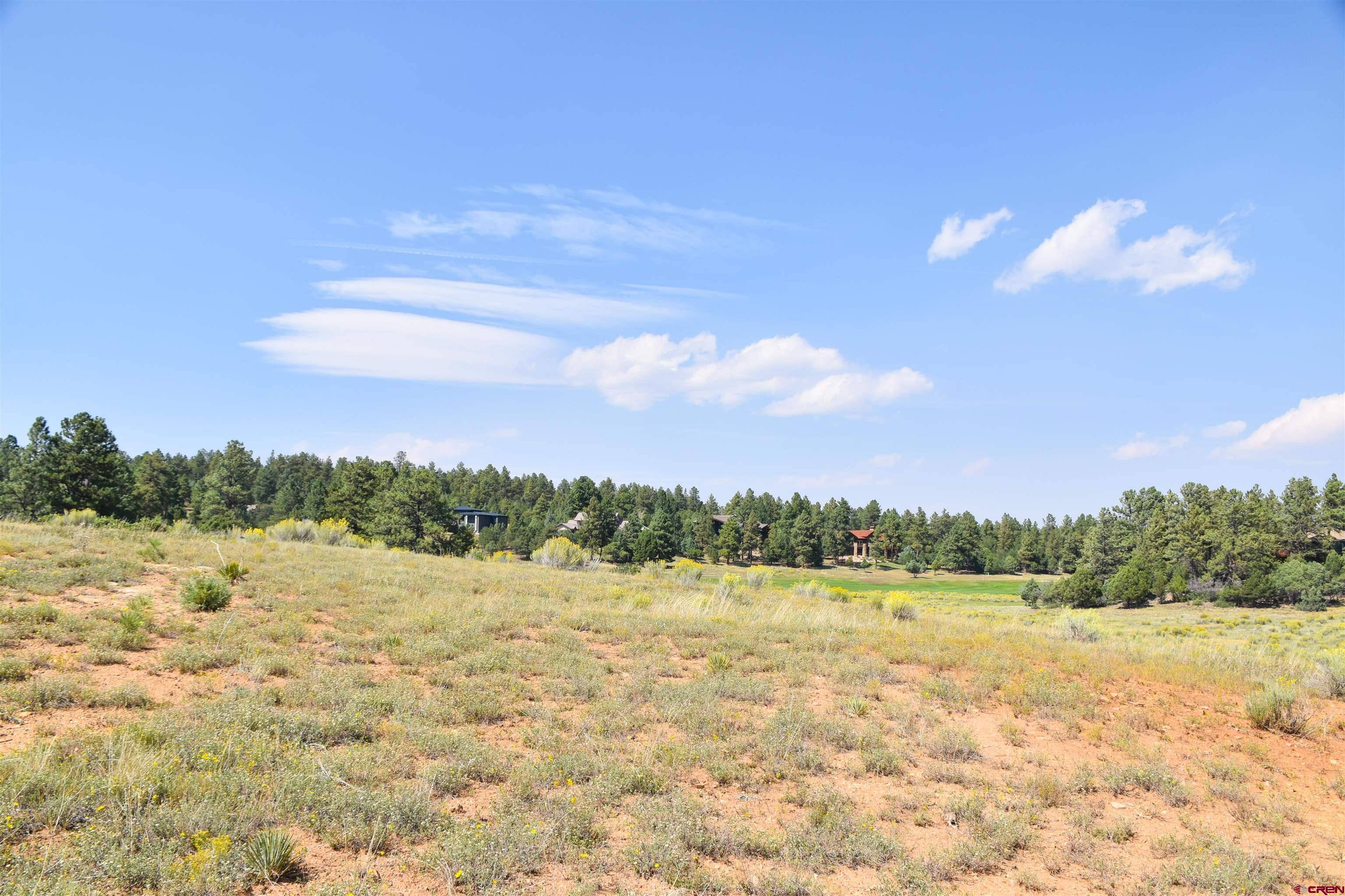 Ridgway, CO 81432,Lot 107 Ponderosa Drive