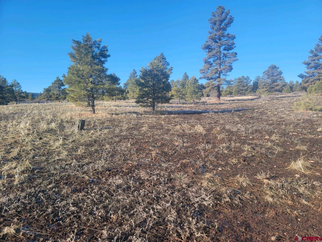 Pagosa Springs, CO 81147,660 Trails Boulevard