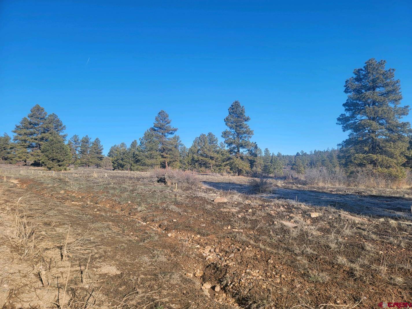 Pagosa Springs, CO 81147,176 Landau