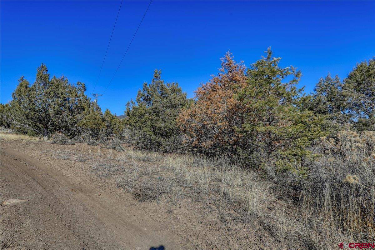 Arboles, CO 81121,160 County Road 982