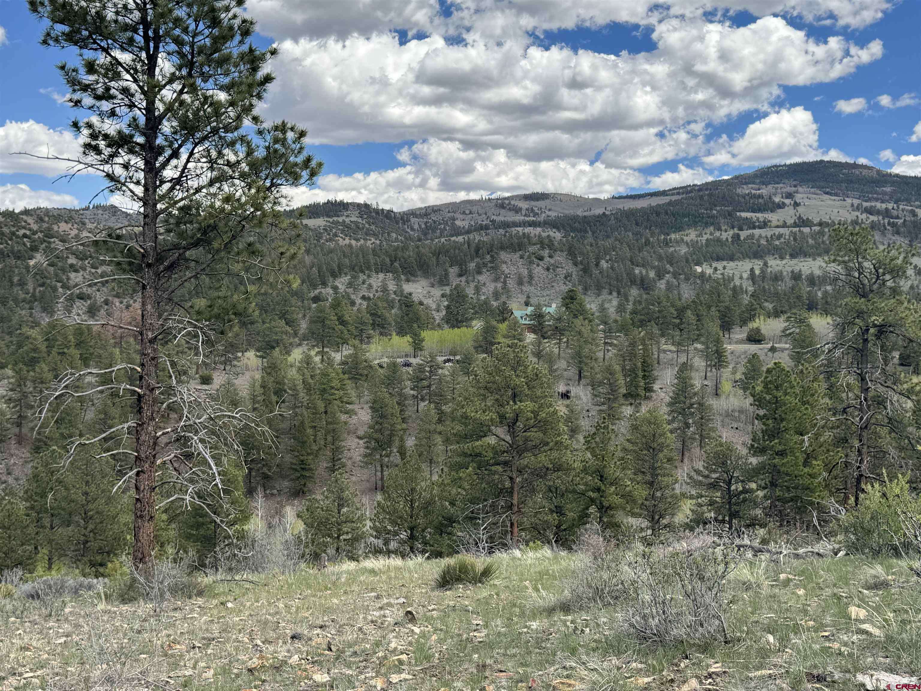 South Fork, CO 81154,150 Rickel Circle