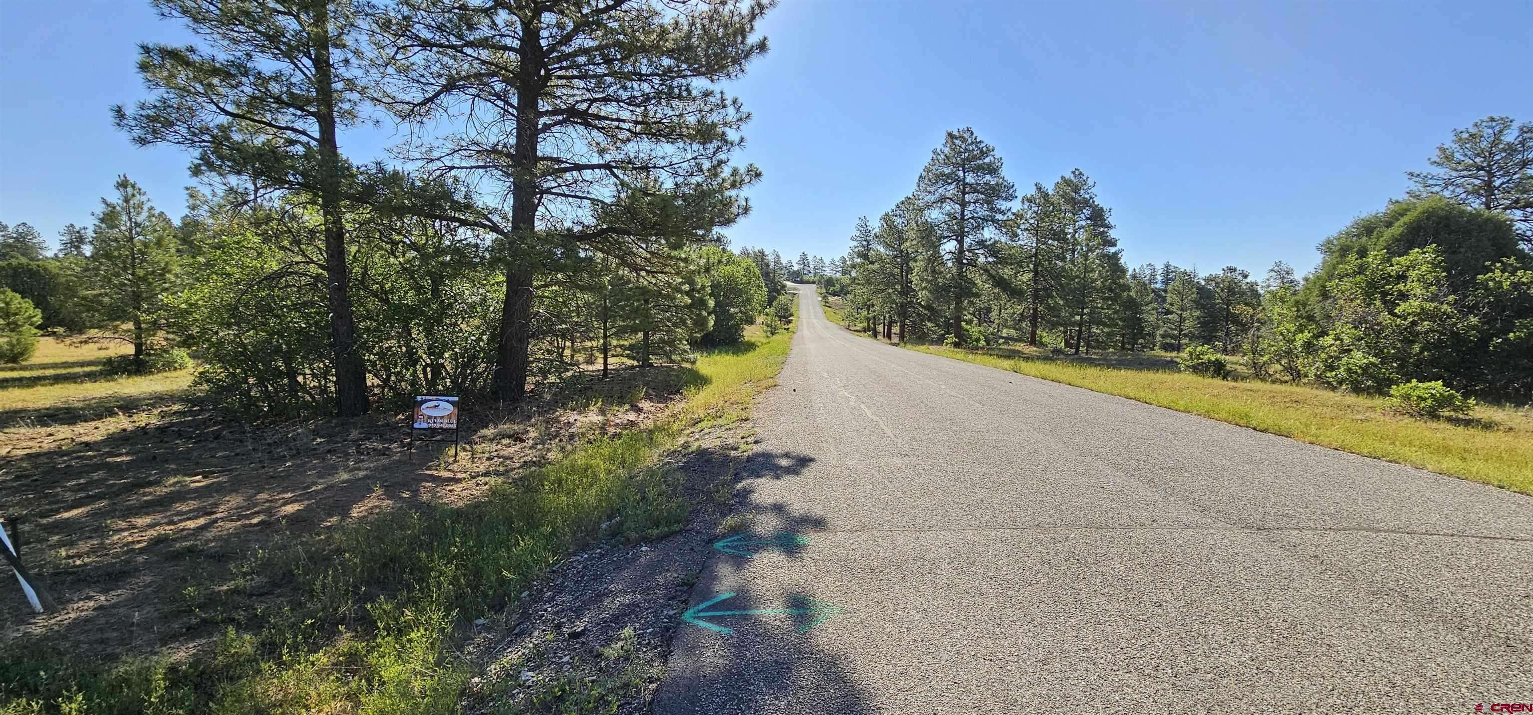 Pagosa Springs, CO 81147,1570 Cool Pines