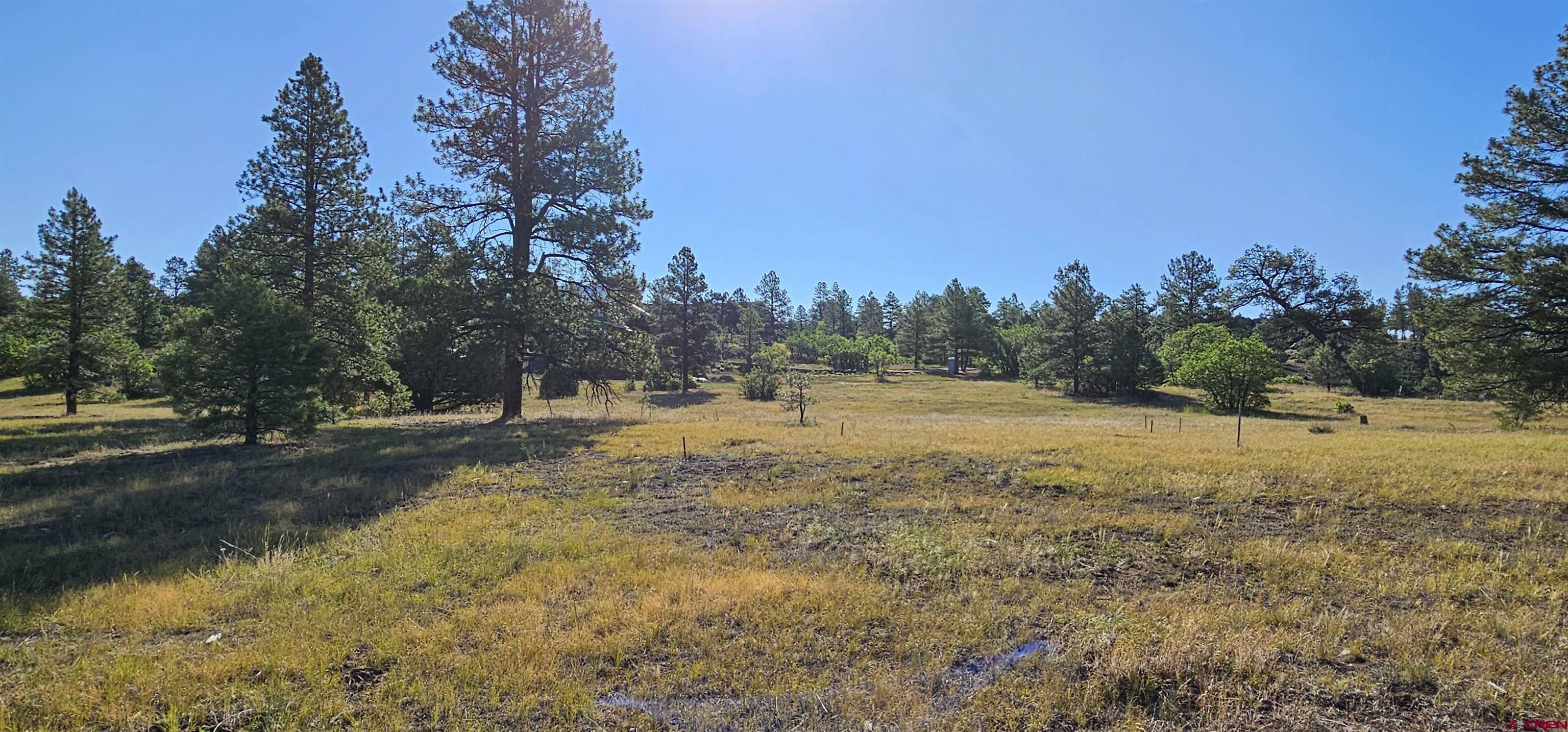 Pagosa Springs, CO 81147,1570 Cool Pines