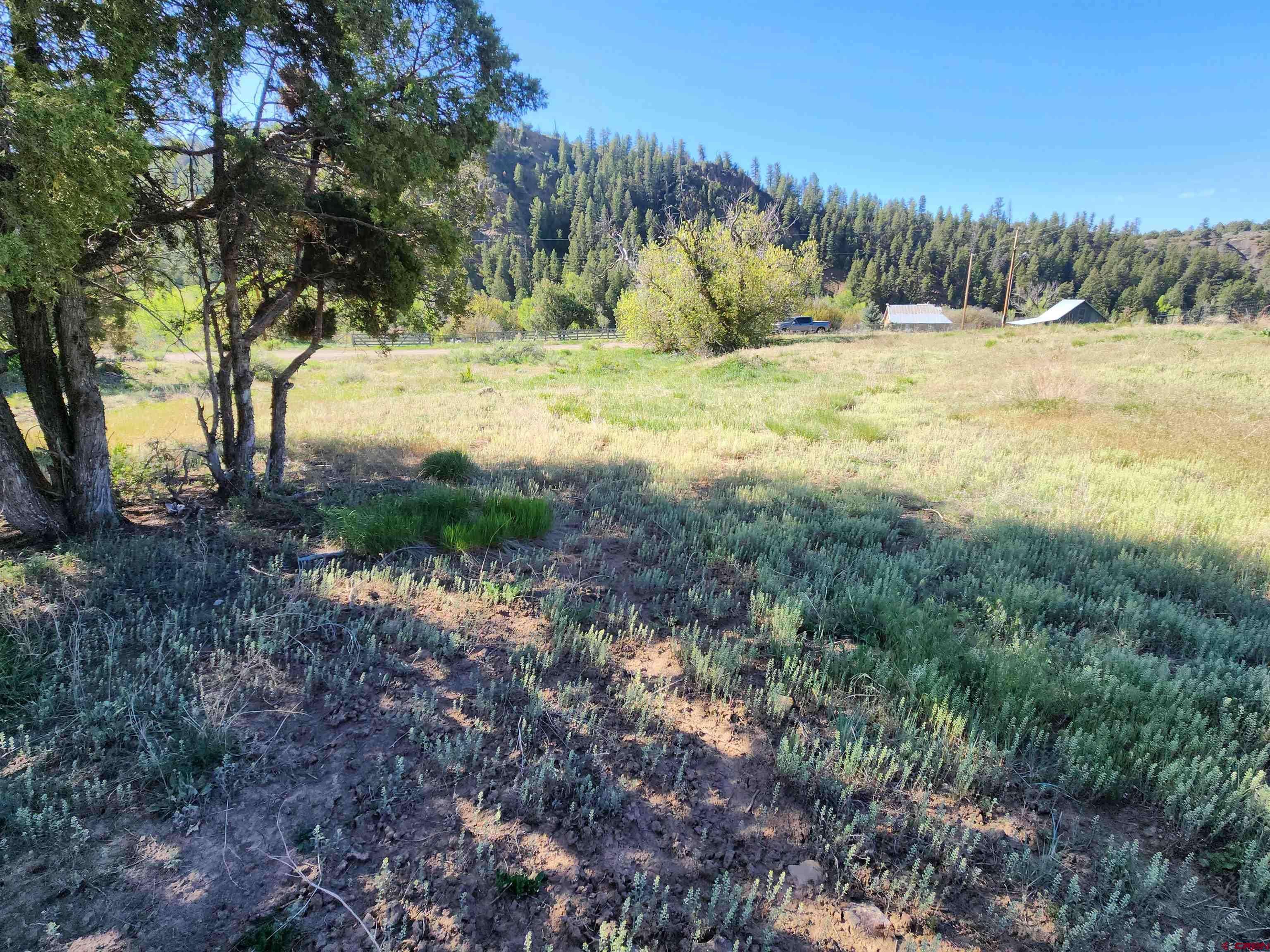 Pagosa Springs, CO 81147,43 Piper Place