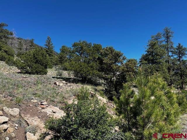 South Fork, CO 81154,Lot 31 Little Bear Circle