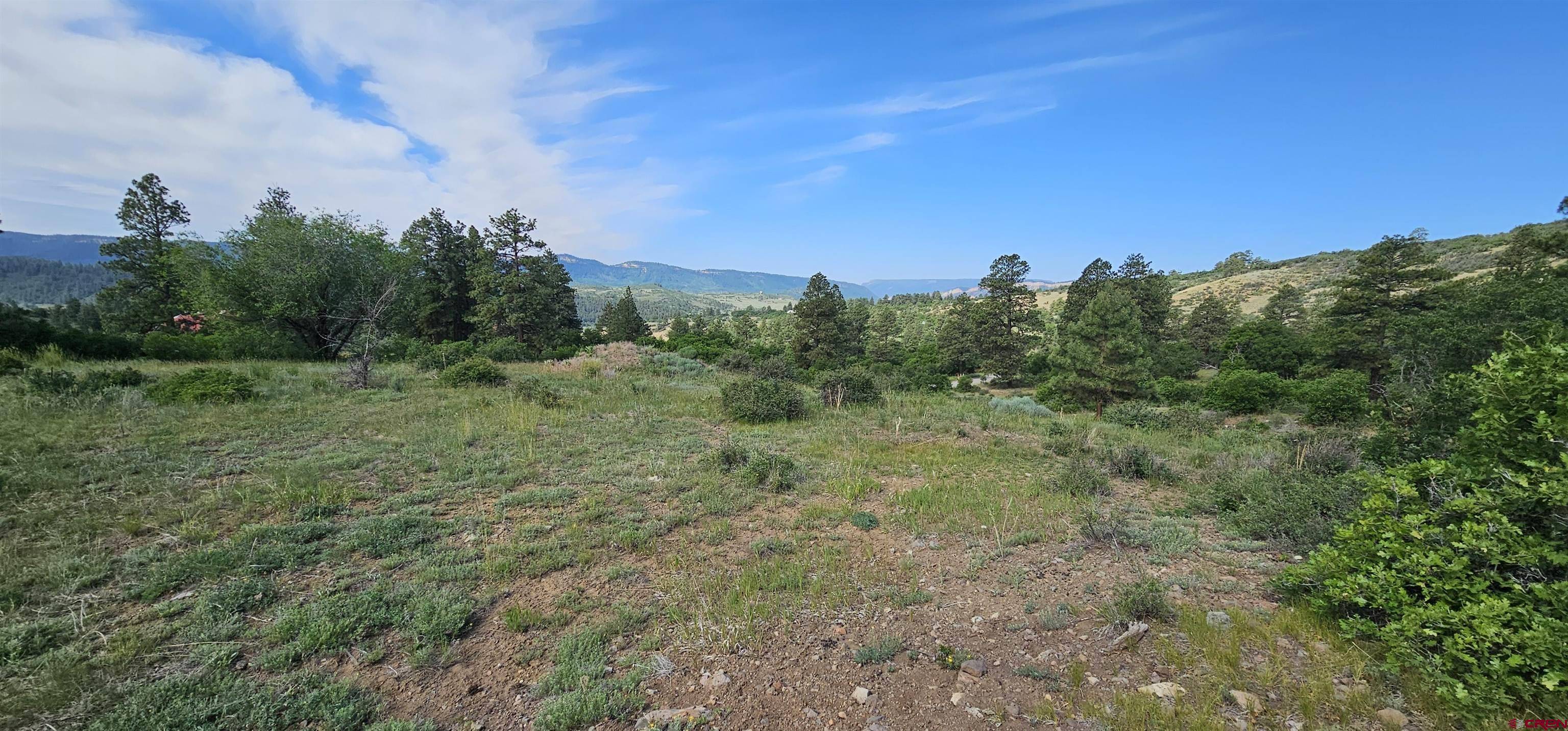 Pagosa Springs, CO 81147,Lot 26 Running Horse