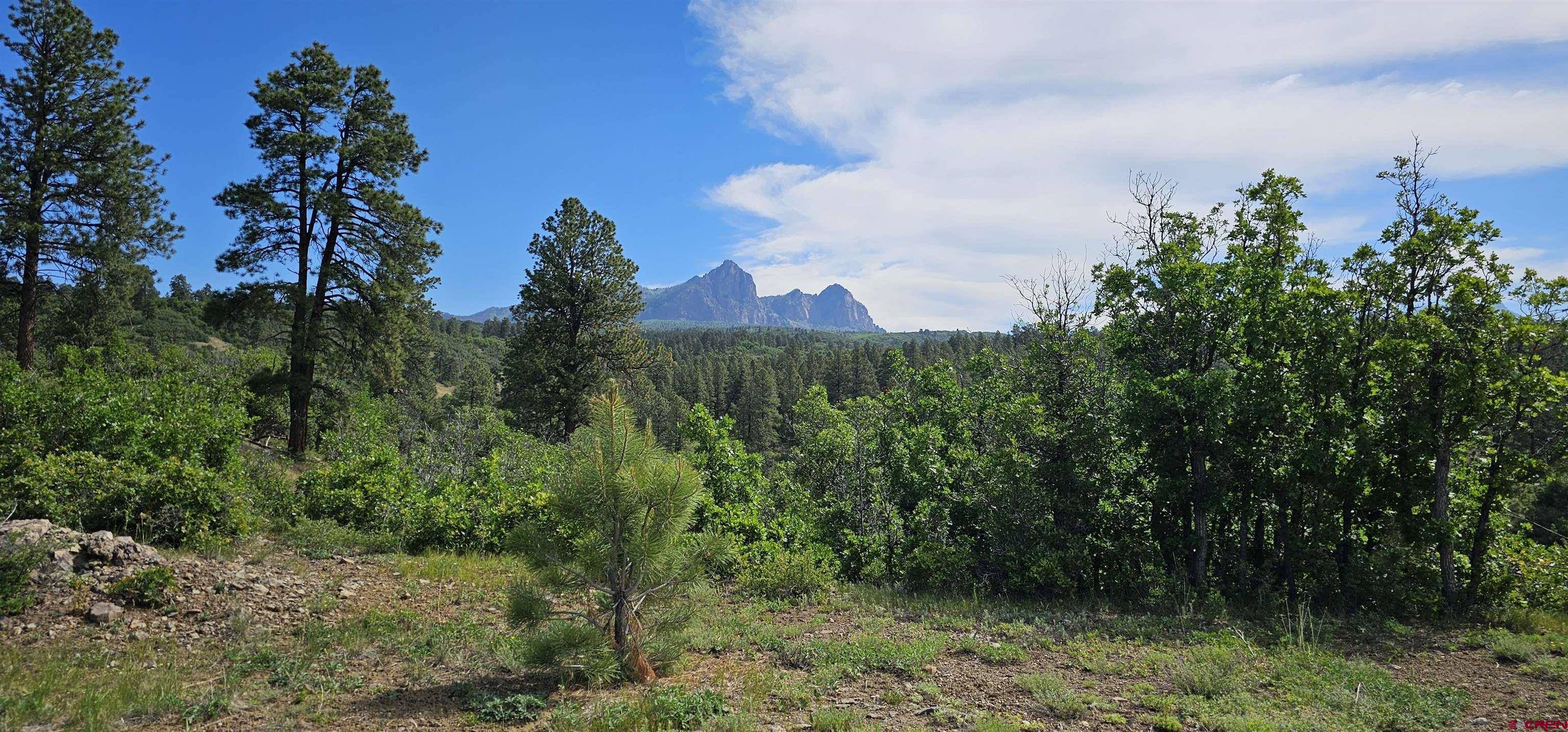 Pagosa Springs, CO 81147,Lot 26 Running Horse