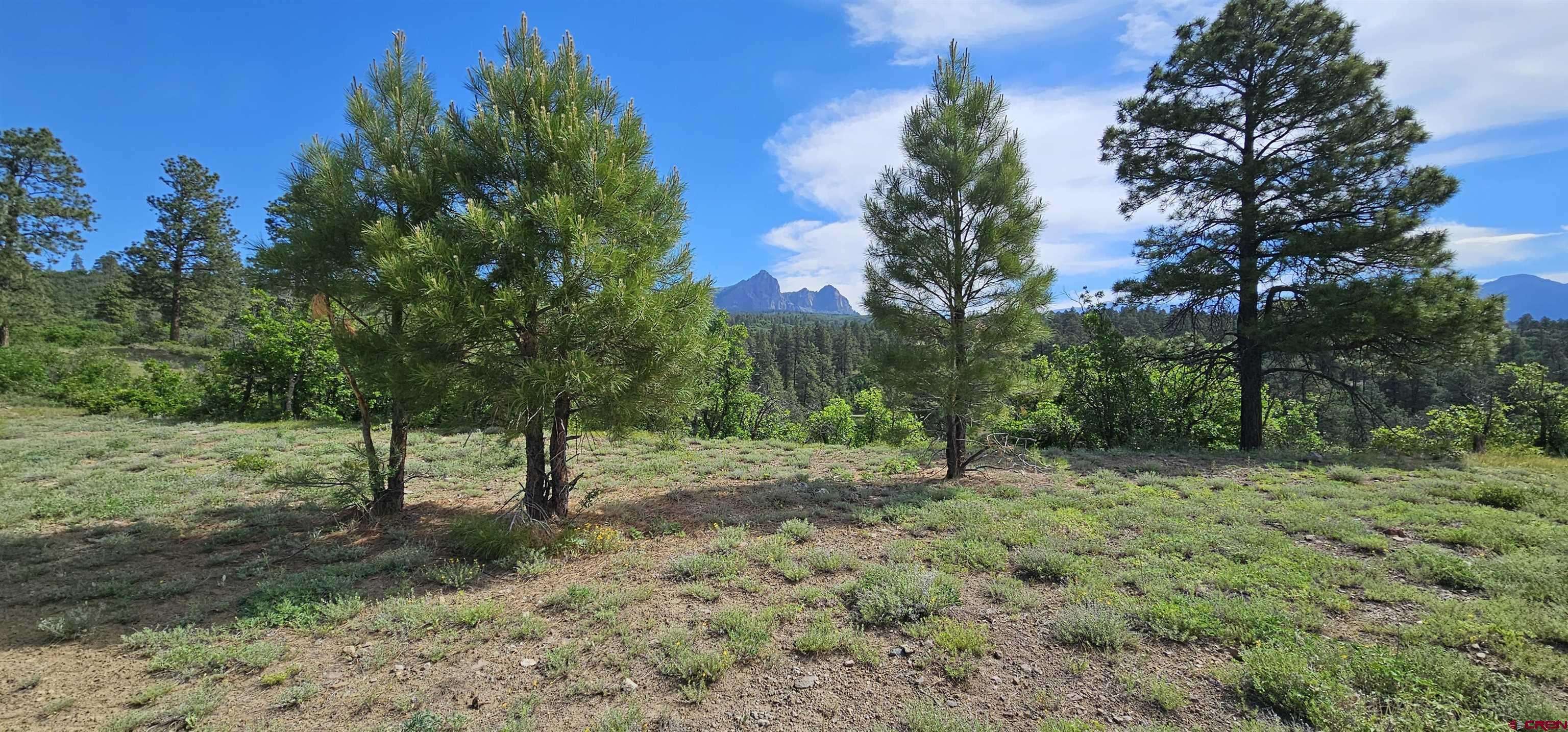 Pagosa Springs, CO 81147,Lot 26 Running Horse