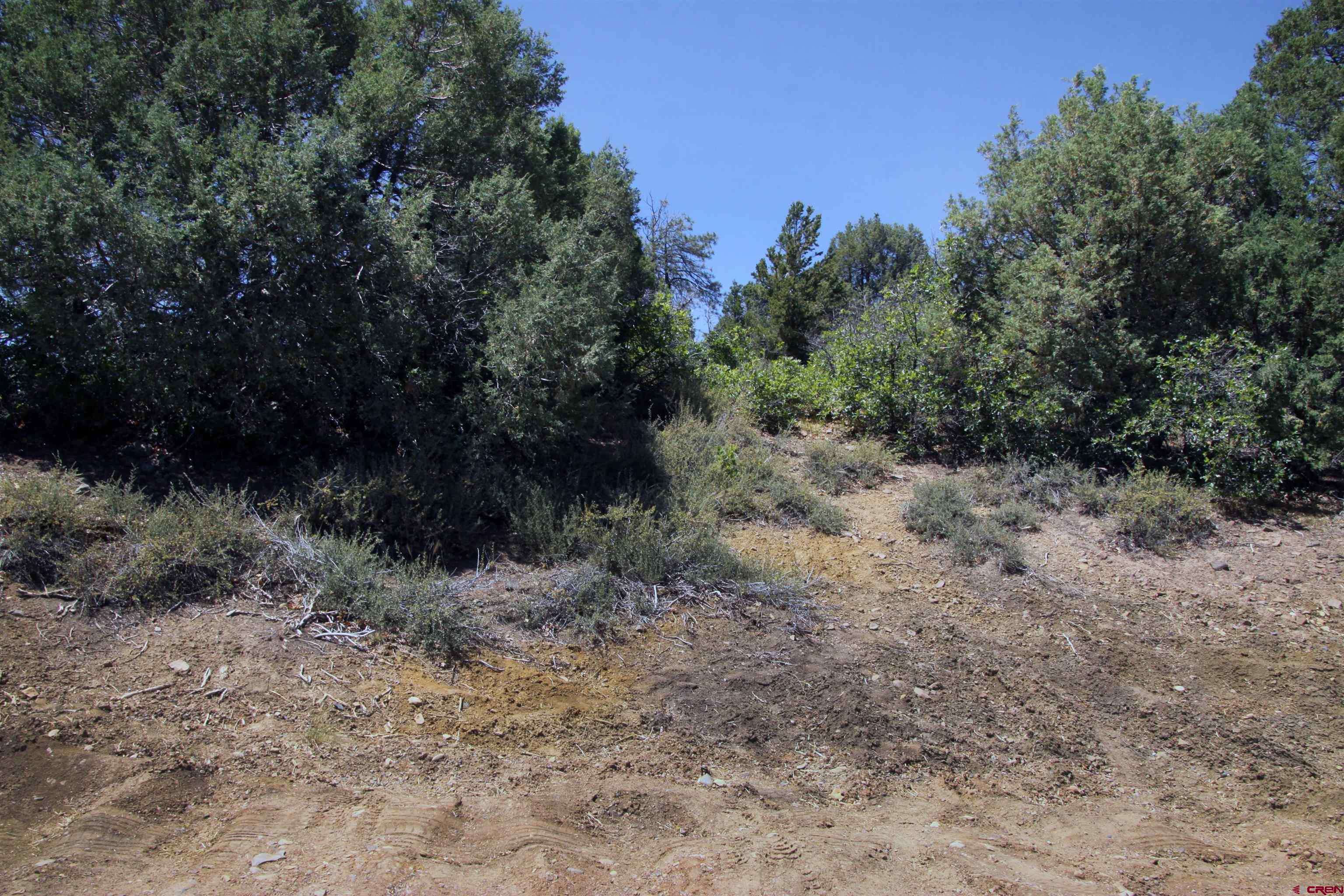 Pagosa Springs, CO 81147,73 Wayne's Court