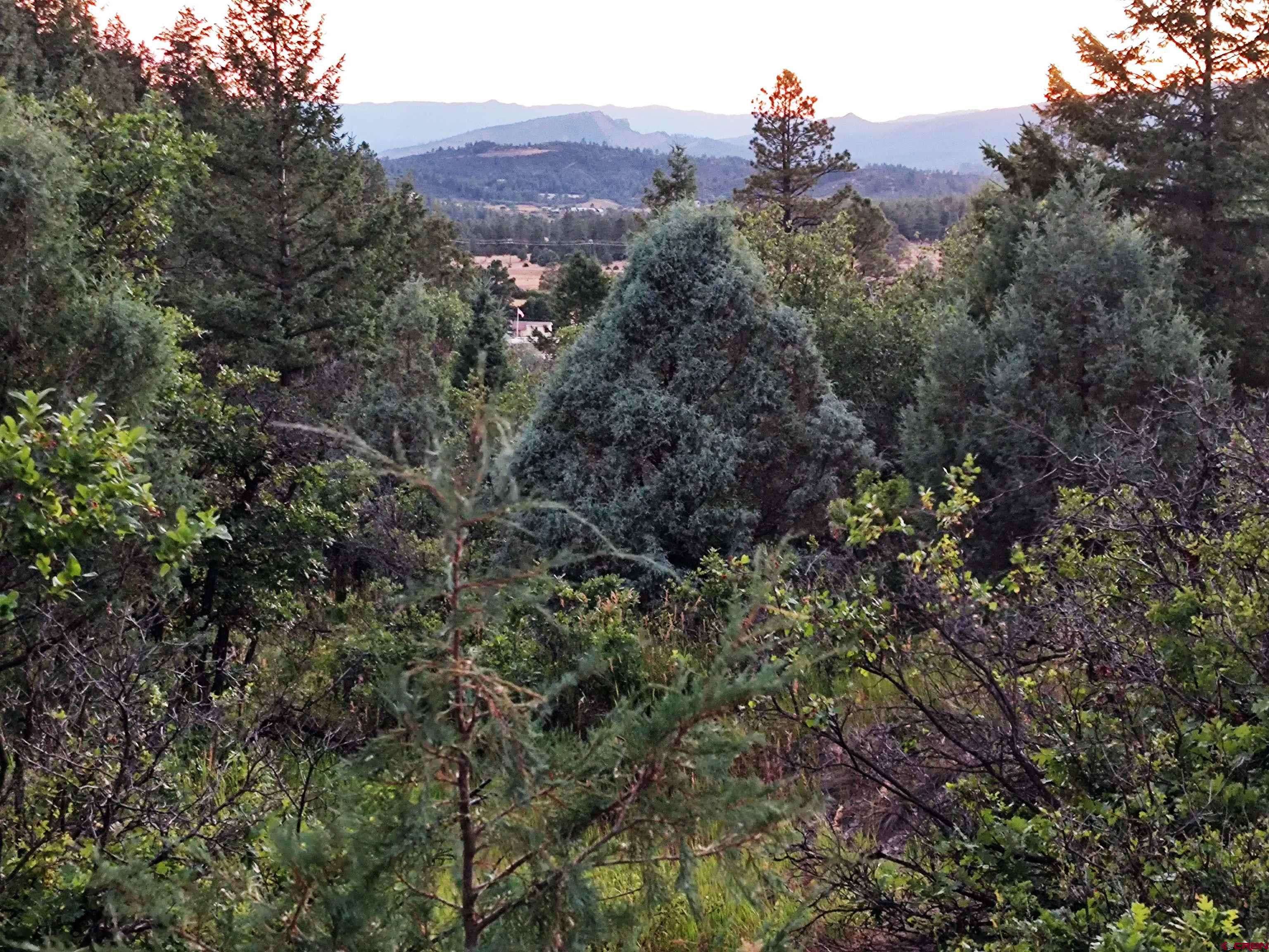 Pagosa Springs, CO 81147,672 Carino Place