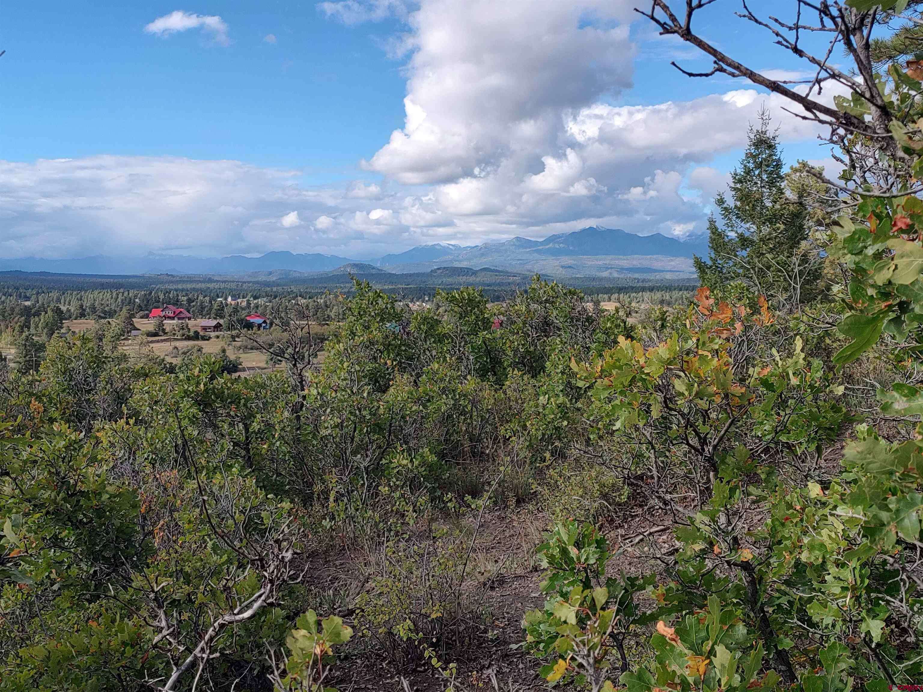 Pagosa Springs, CO 81147,672 Carino Place