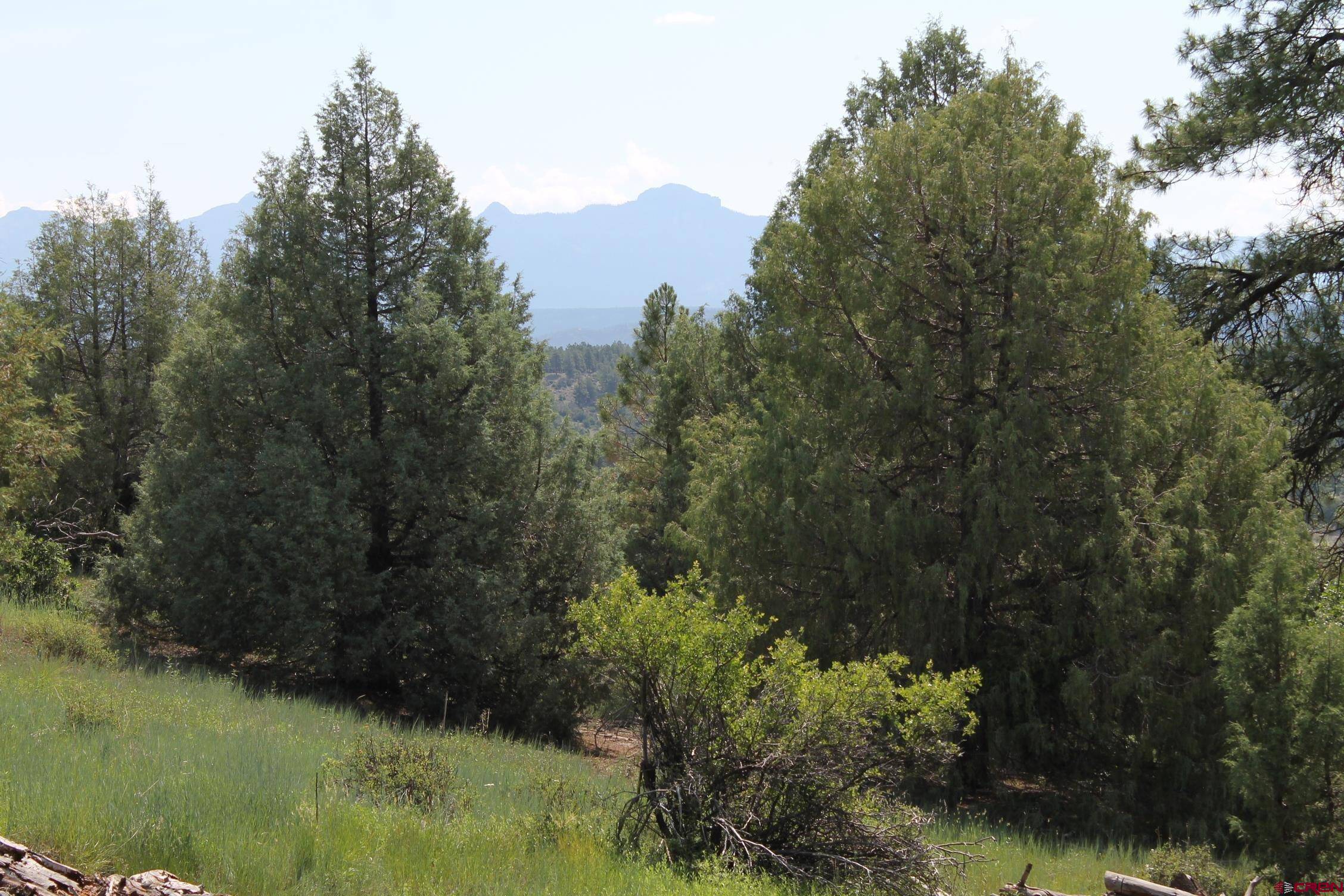 Pagosa Springs, CO 81147,600 Engleman Place