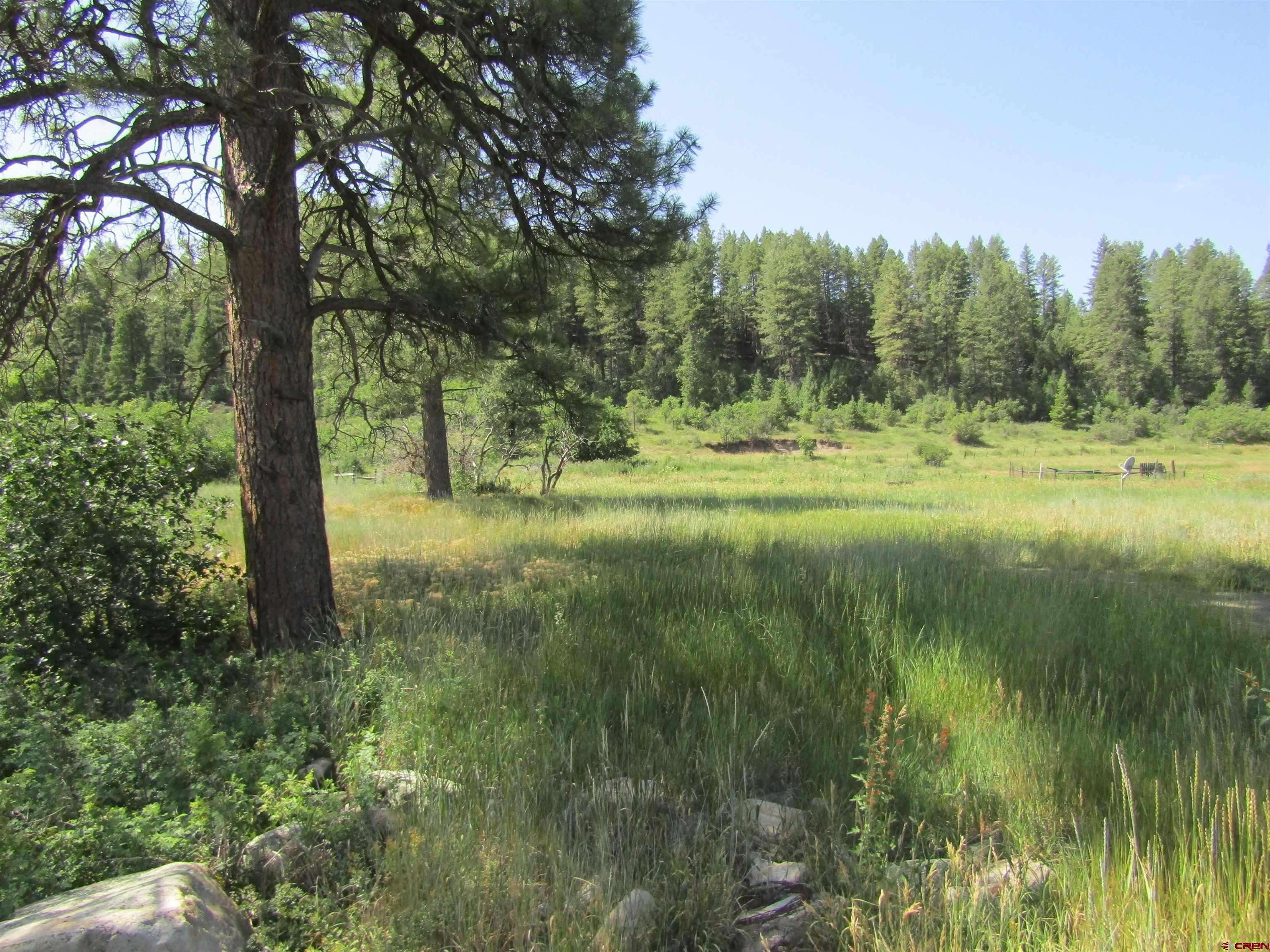 Pagosa Springs, CO 81147,9144 W US Hwy 160