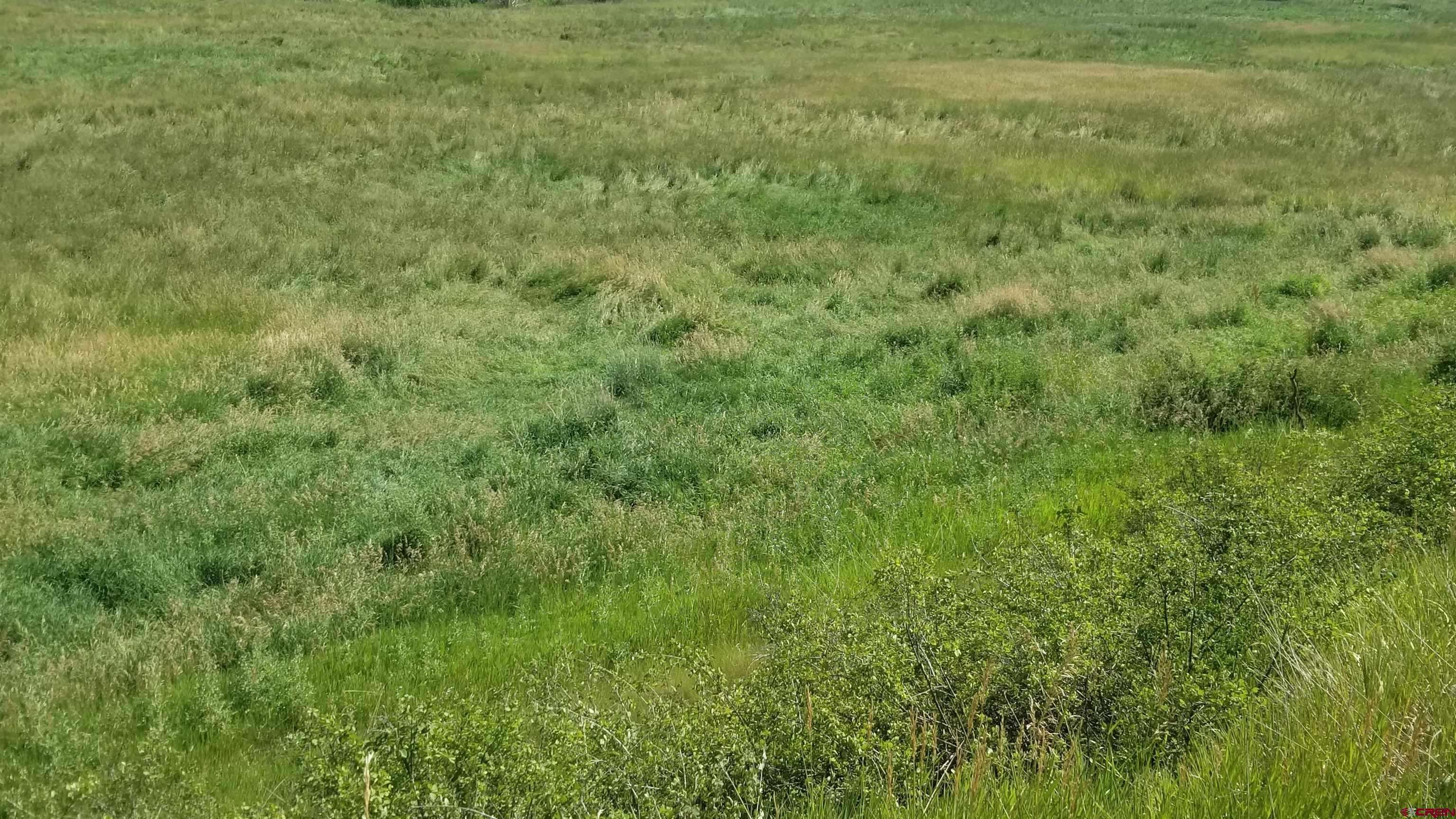Pagosa Springs, CO 81147,9144 W US Hwy 160