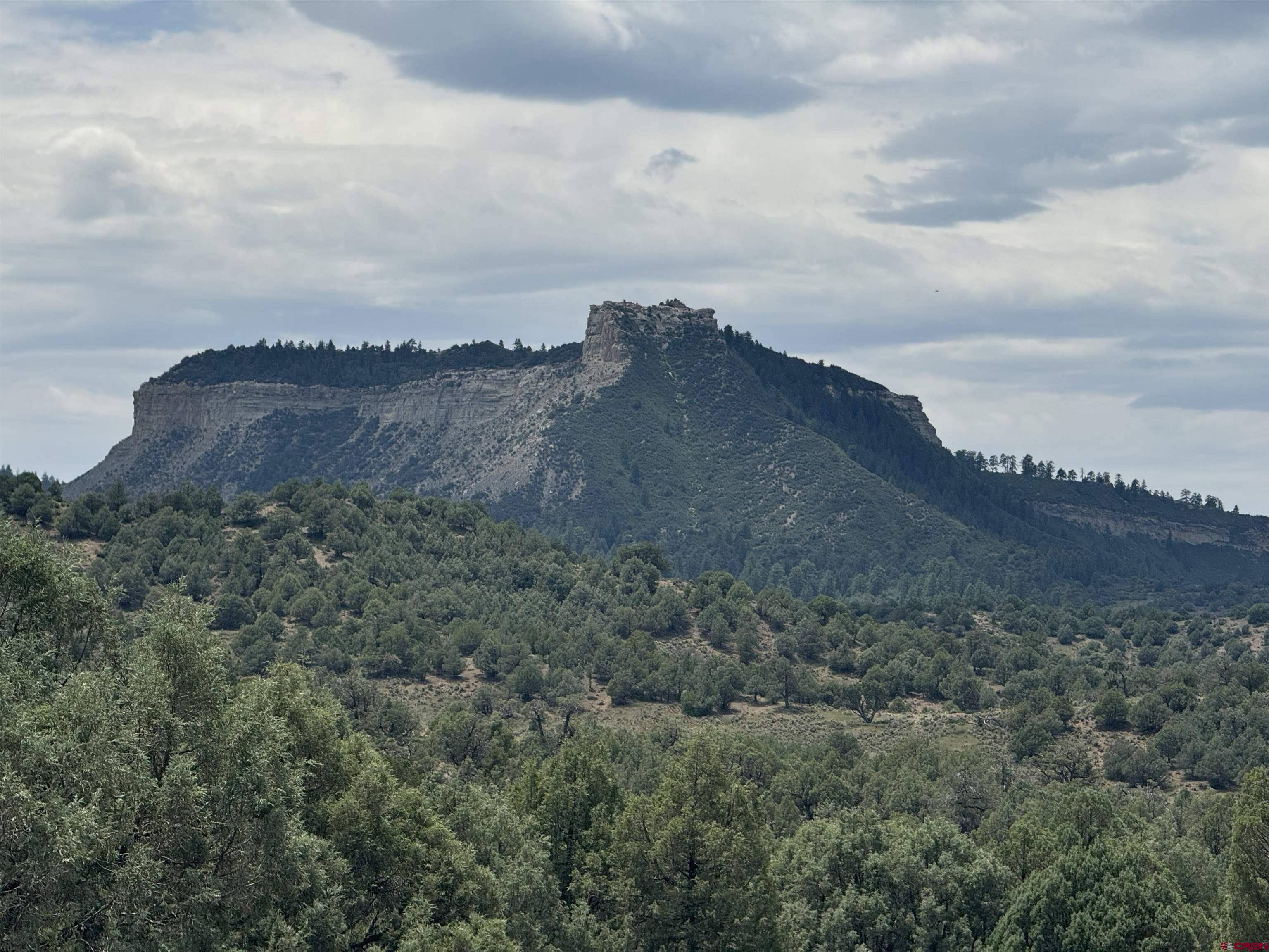 Pagosa Springs, CO 81147,2241 S Rockcliff Circle