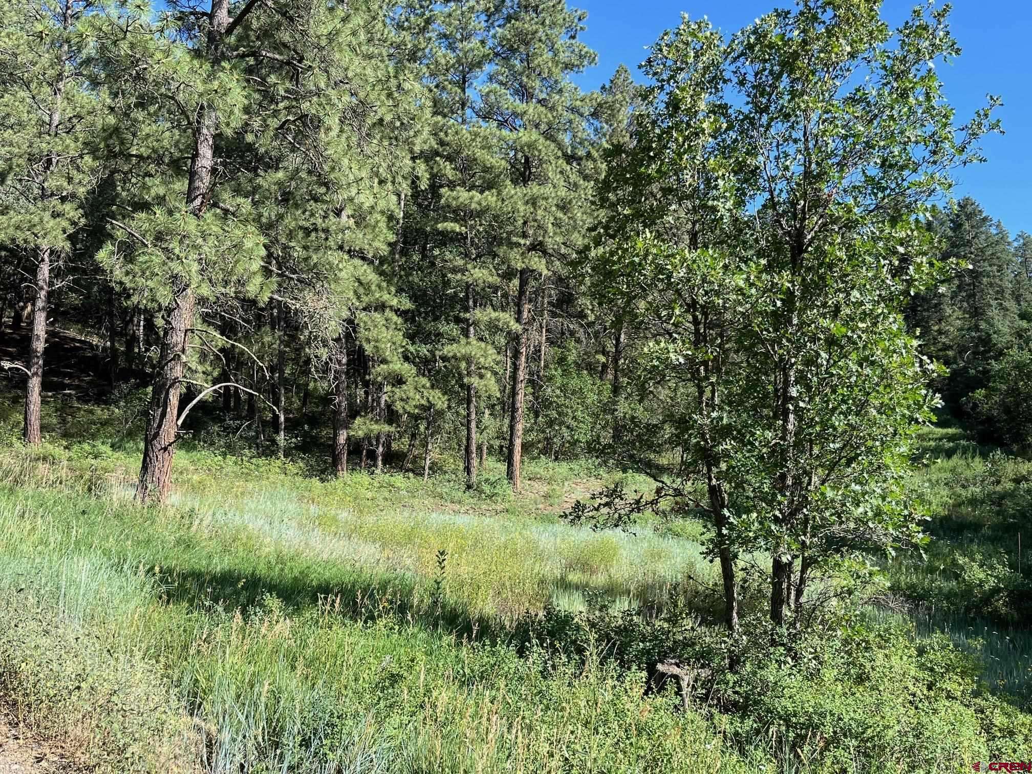Pagosa Springs, CO 81147,916A Easy Street