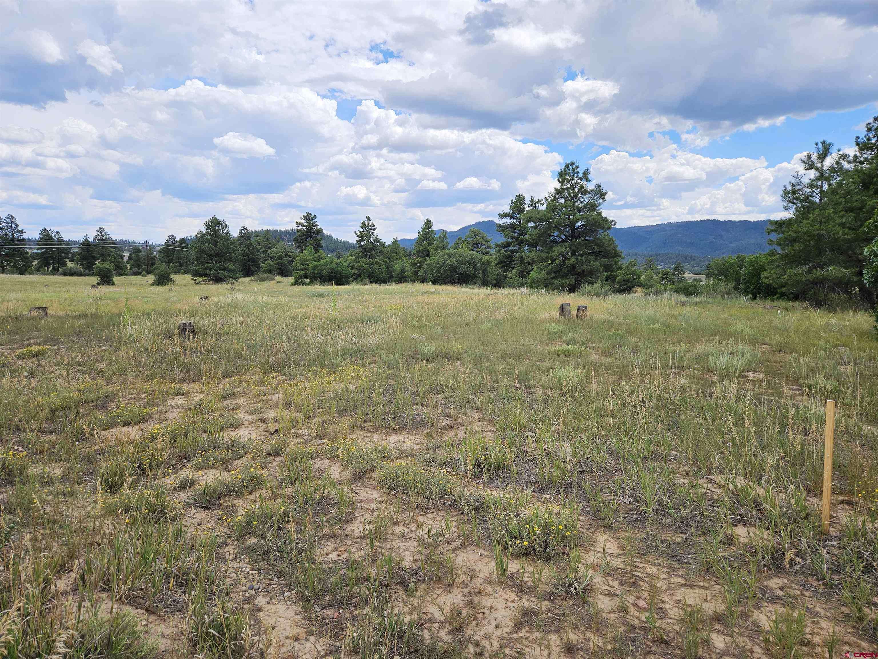 Pagosa Springs, CO 81147,162 Prospect Boulevard