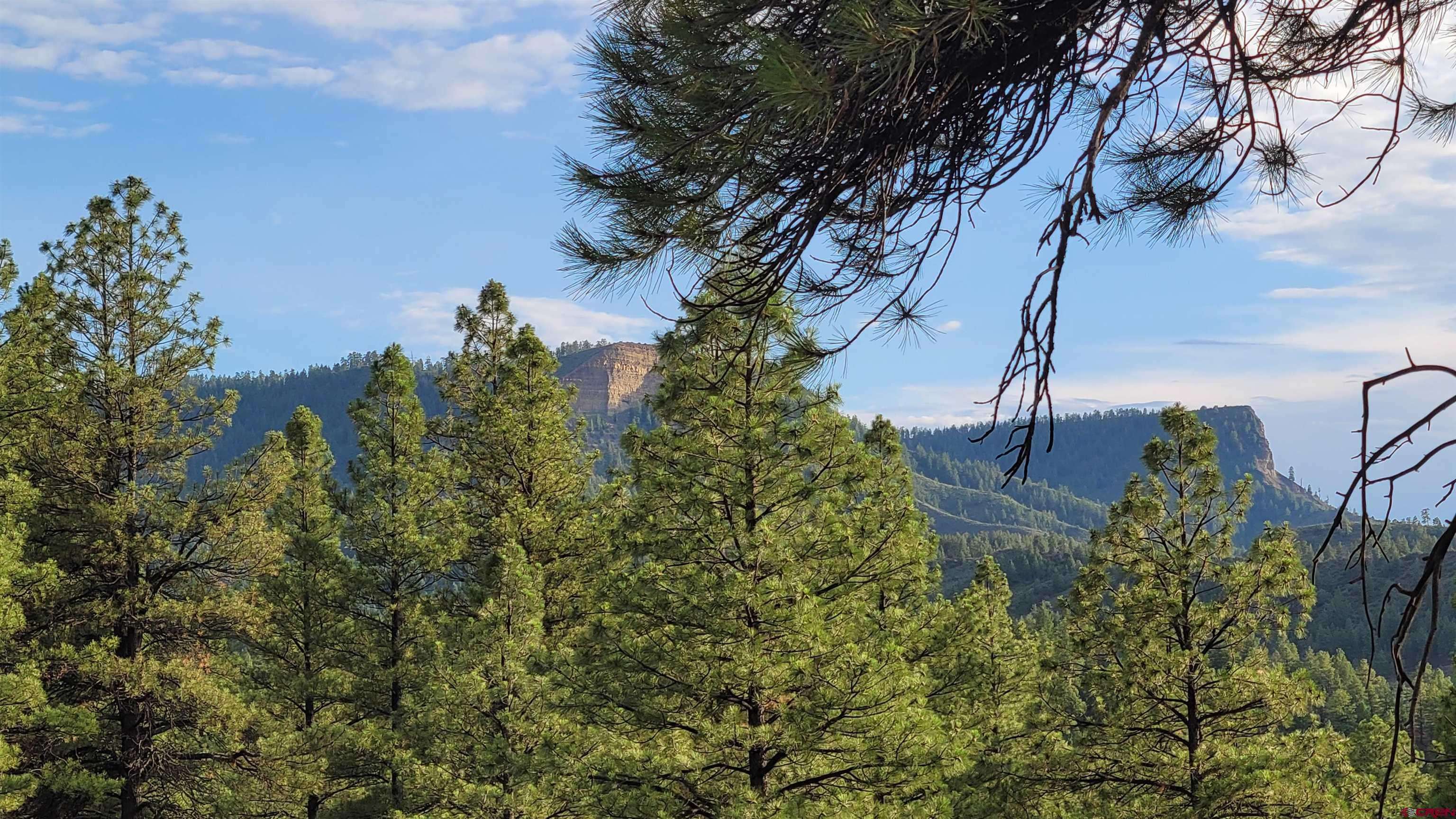 Pagosa Springs, CO 81147,814 Ginger Circle