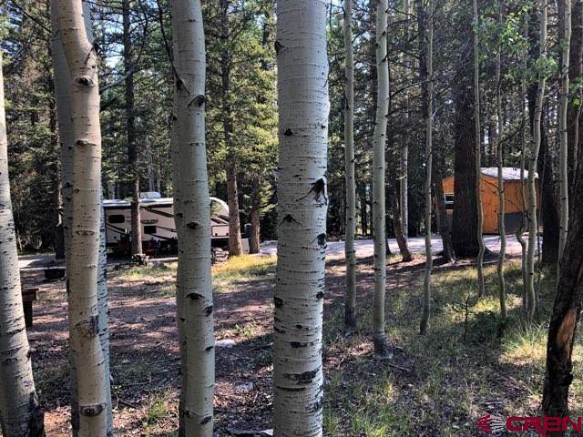 Cimarron, CO 81220,160 Lake Road