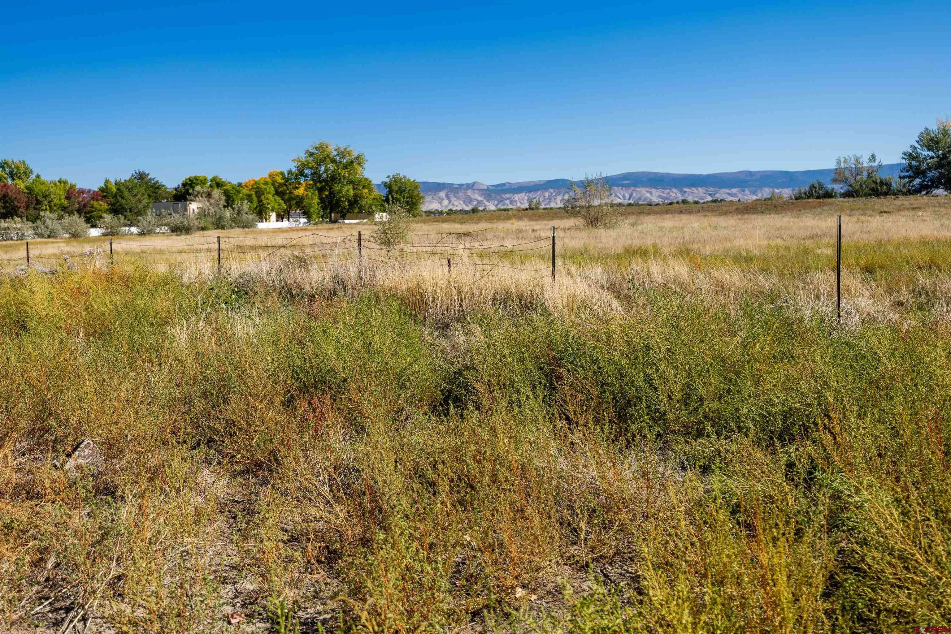 Montrose, CO 81401,1595 E Oak Grove Road