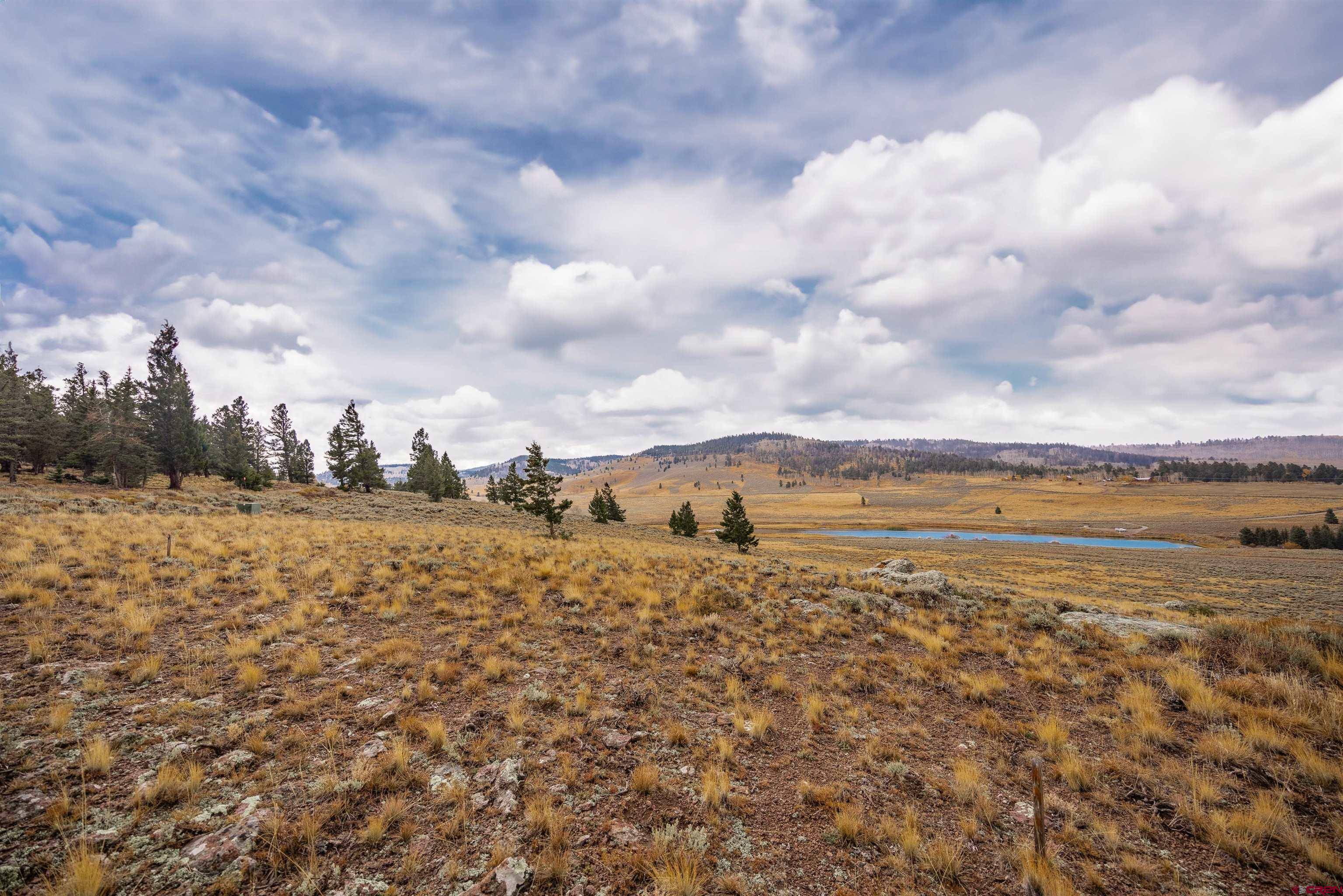 Powderhorn, CO 81243,663 Castle Circle