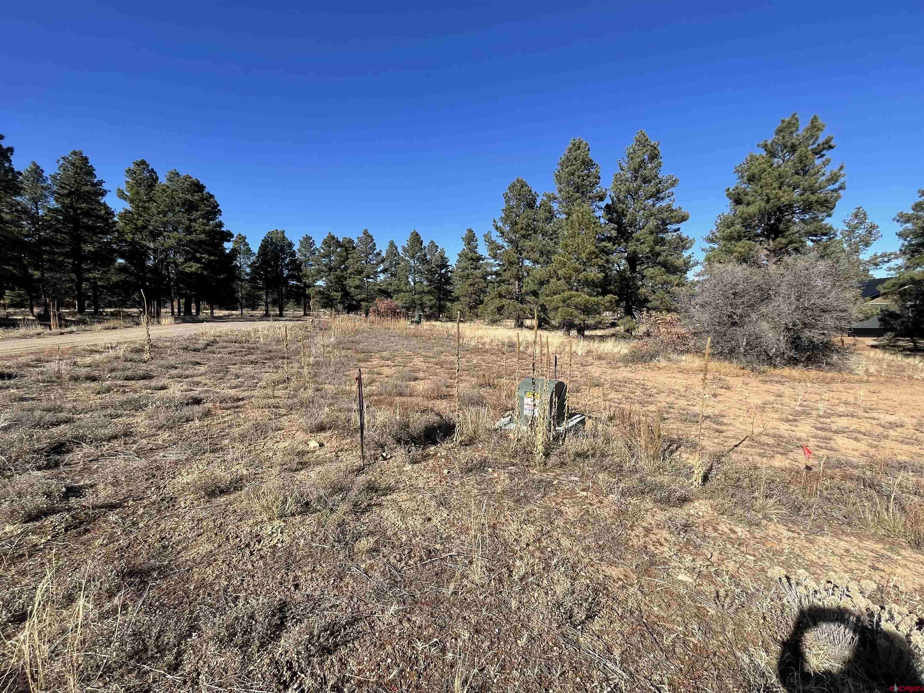Pagosa Springs, CO 81147,157 Mansions Circle