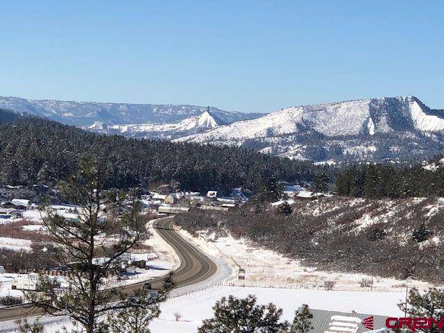 Pagosa Springs, CO 81147,75 Ironwood Drive