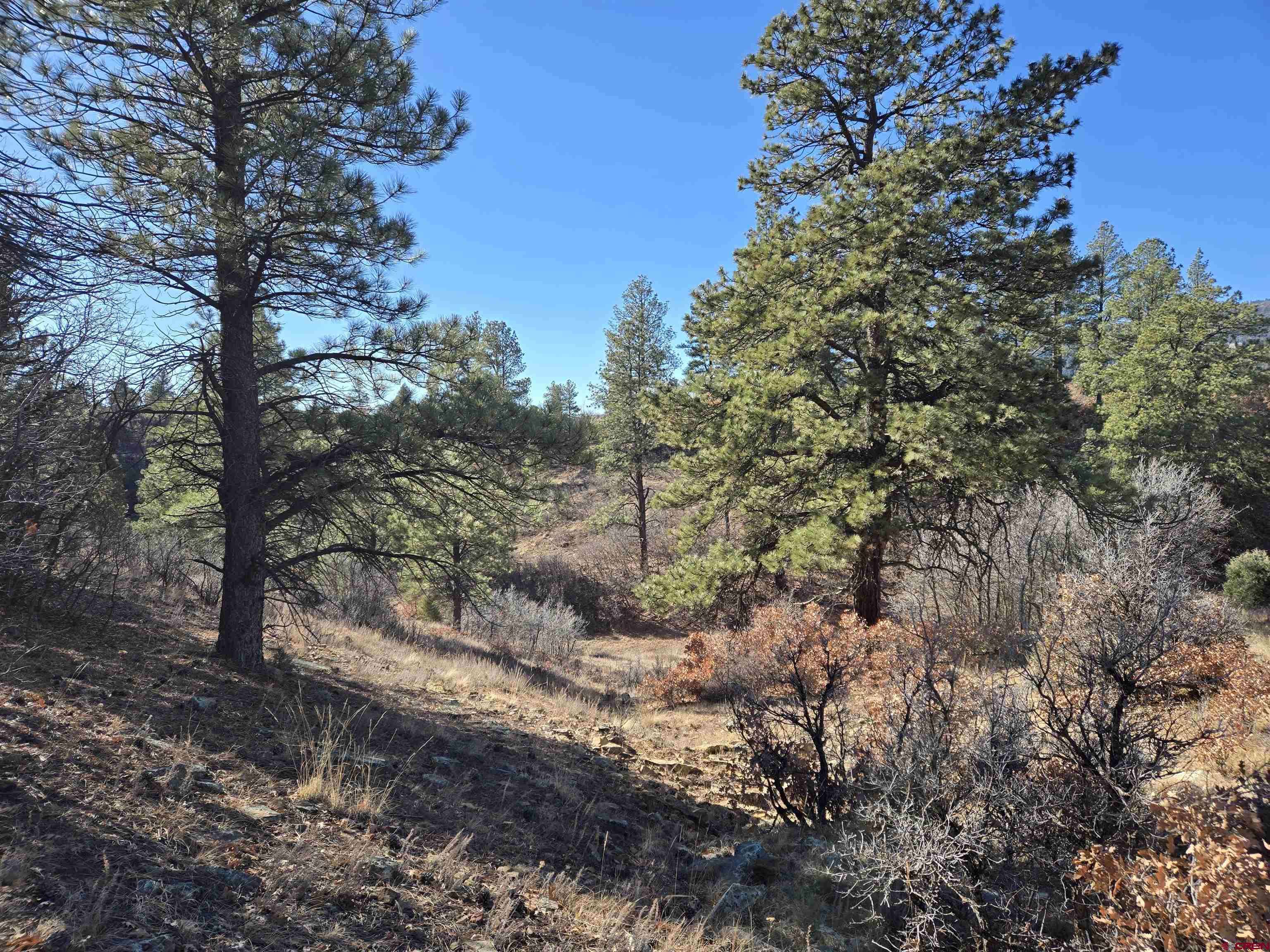 Pagosa Springs, CO 81147,X County 359 Road