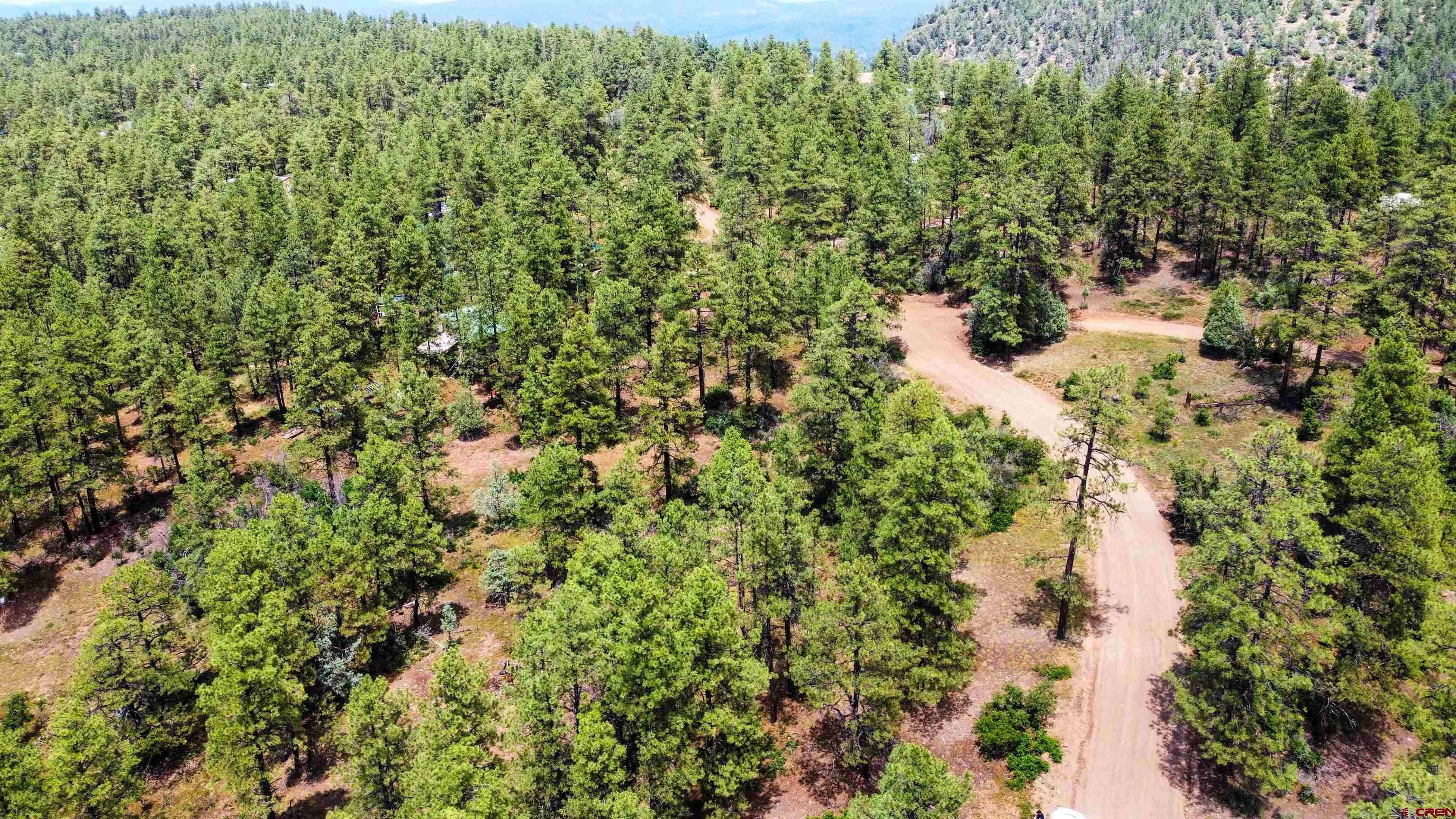 Pagosa Springs, CO 81147,160 Far View