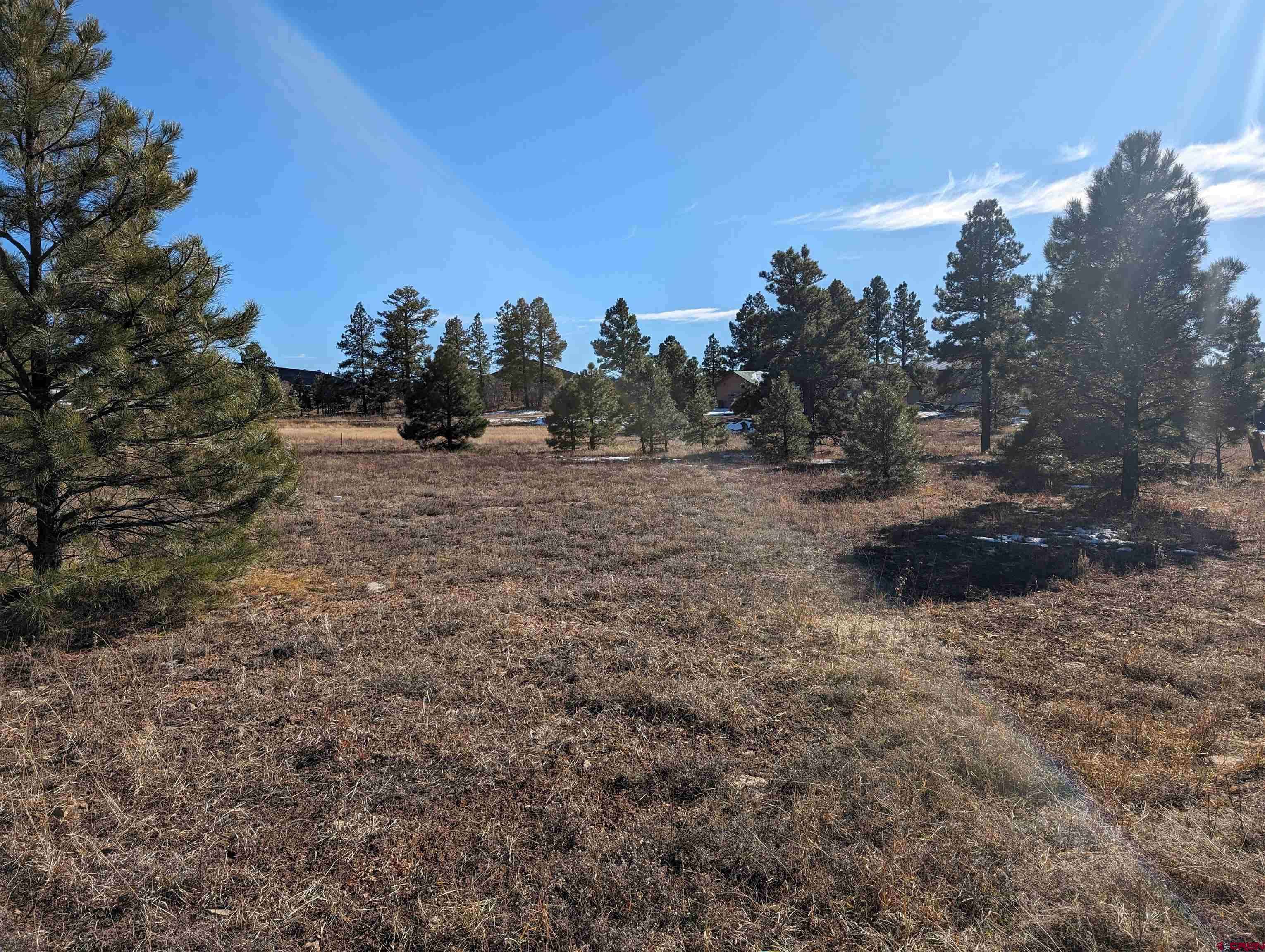 Pagosa Springs, CO 81147,129 Park Avenue