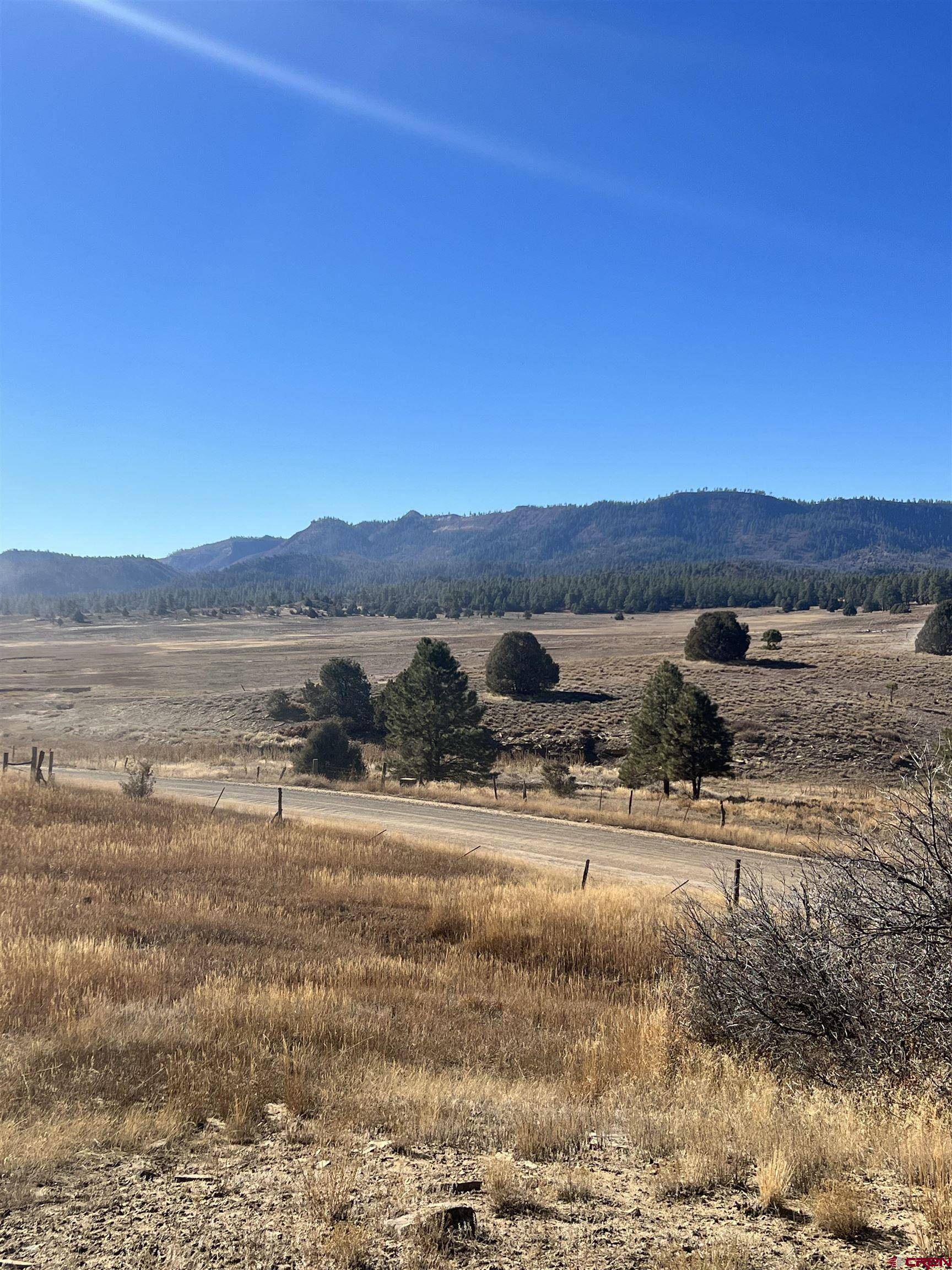 Pagosa Springs, CO 81147,3924 County Road 700
