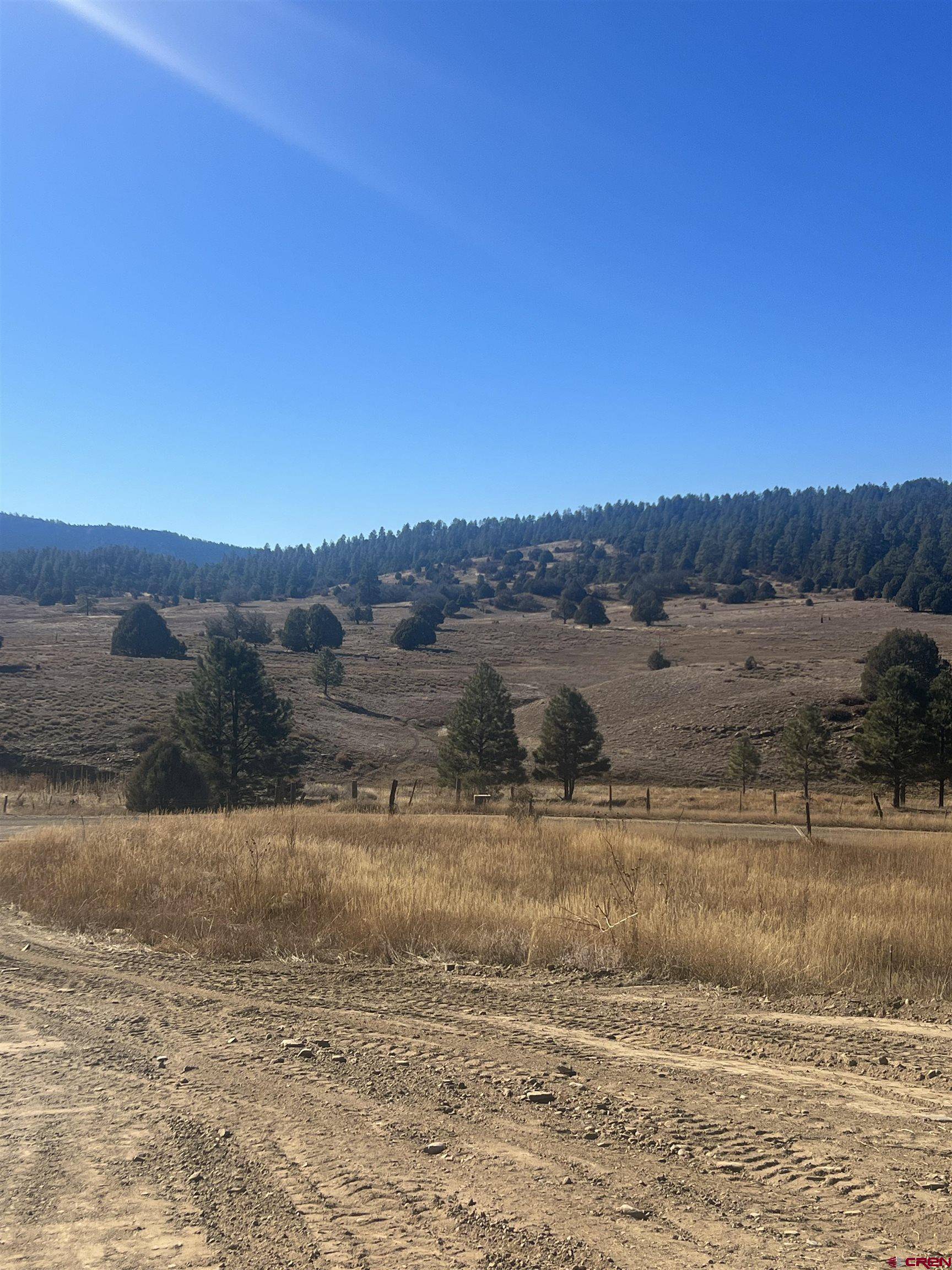 Pagosa Springs, CO 81147,3924 County Road 700