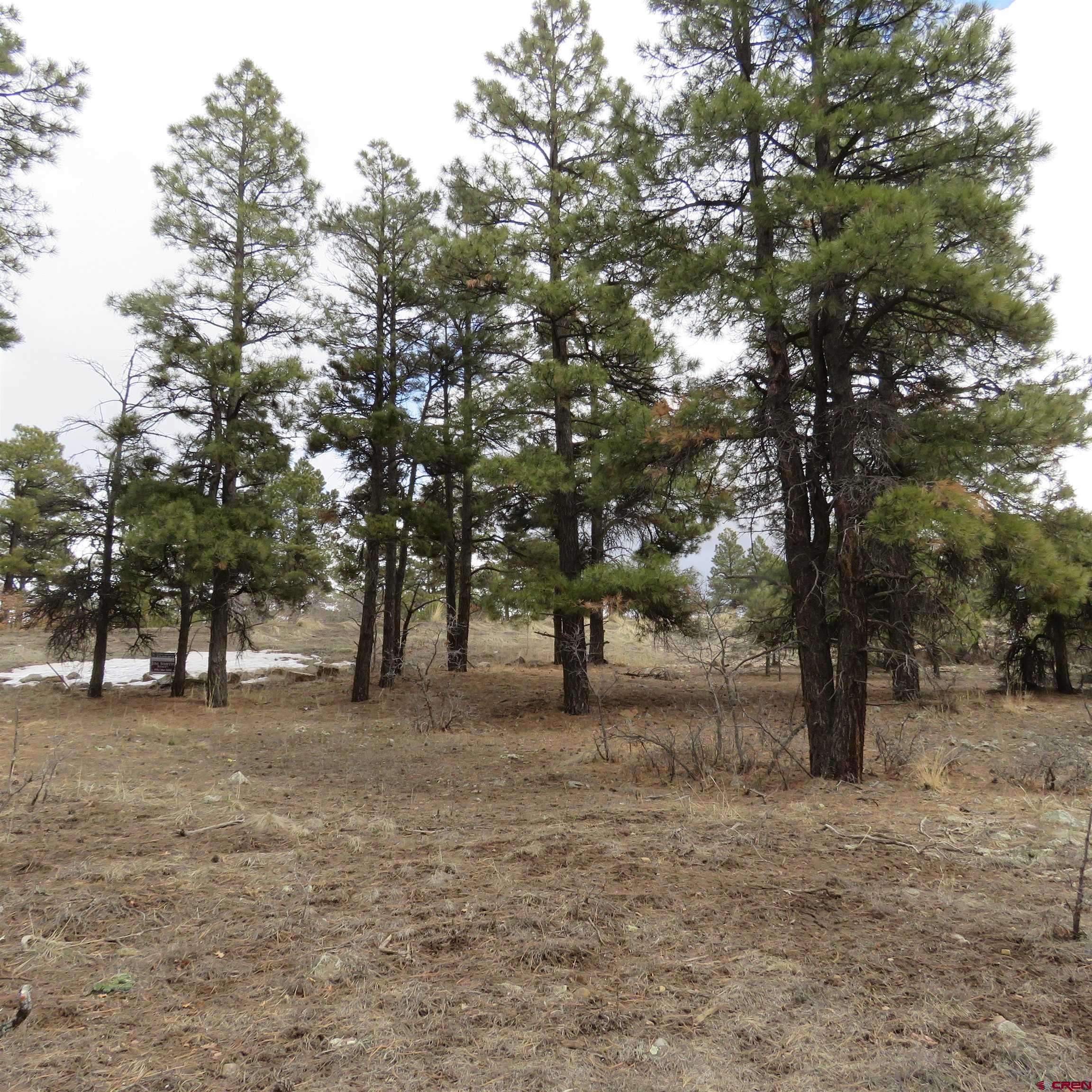 Pagosa Springs, CO 81147,1084 County Rd 600