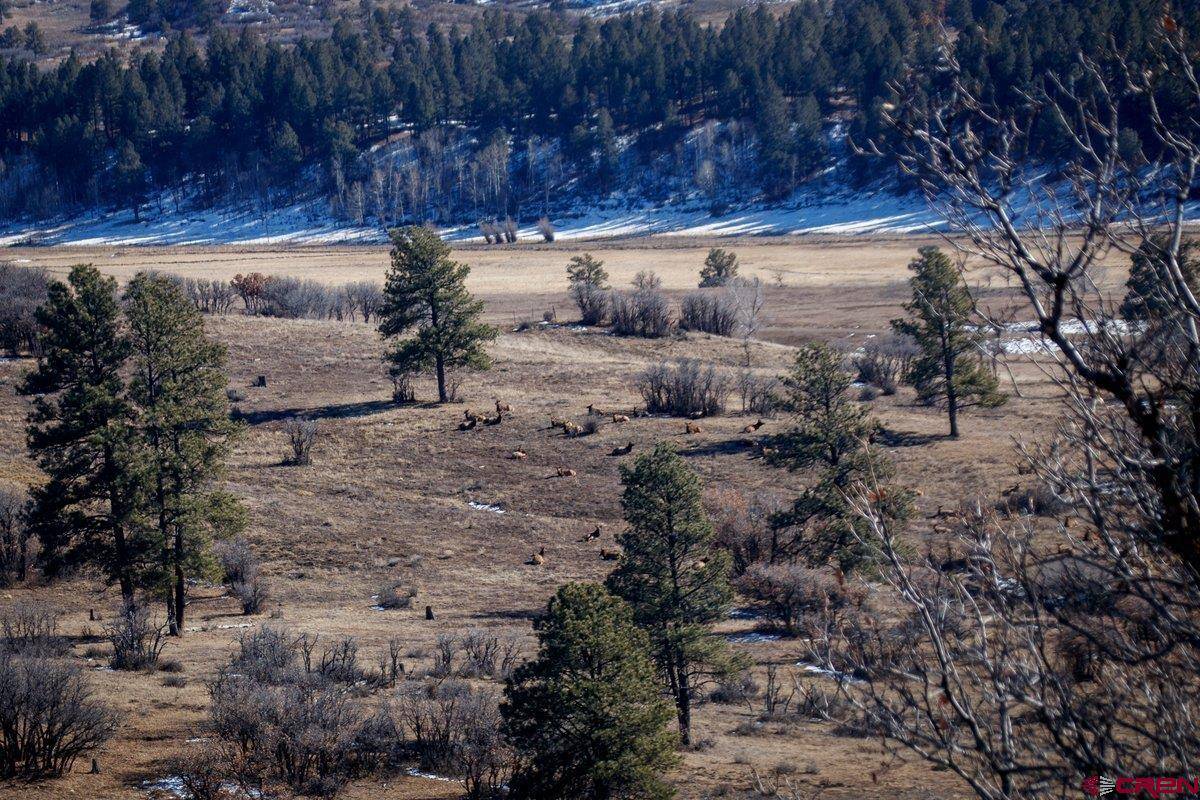 Pagosa Springs, CO 81147,2613 Running Horse Place