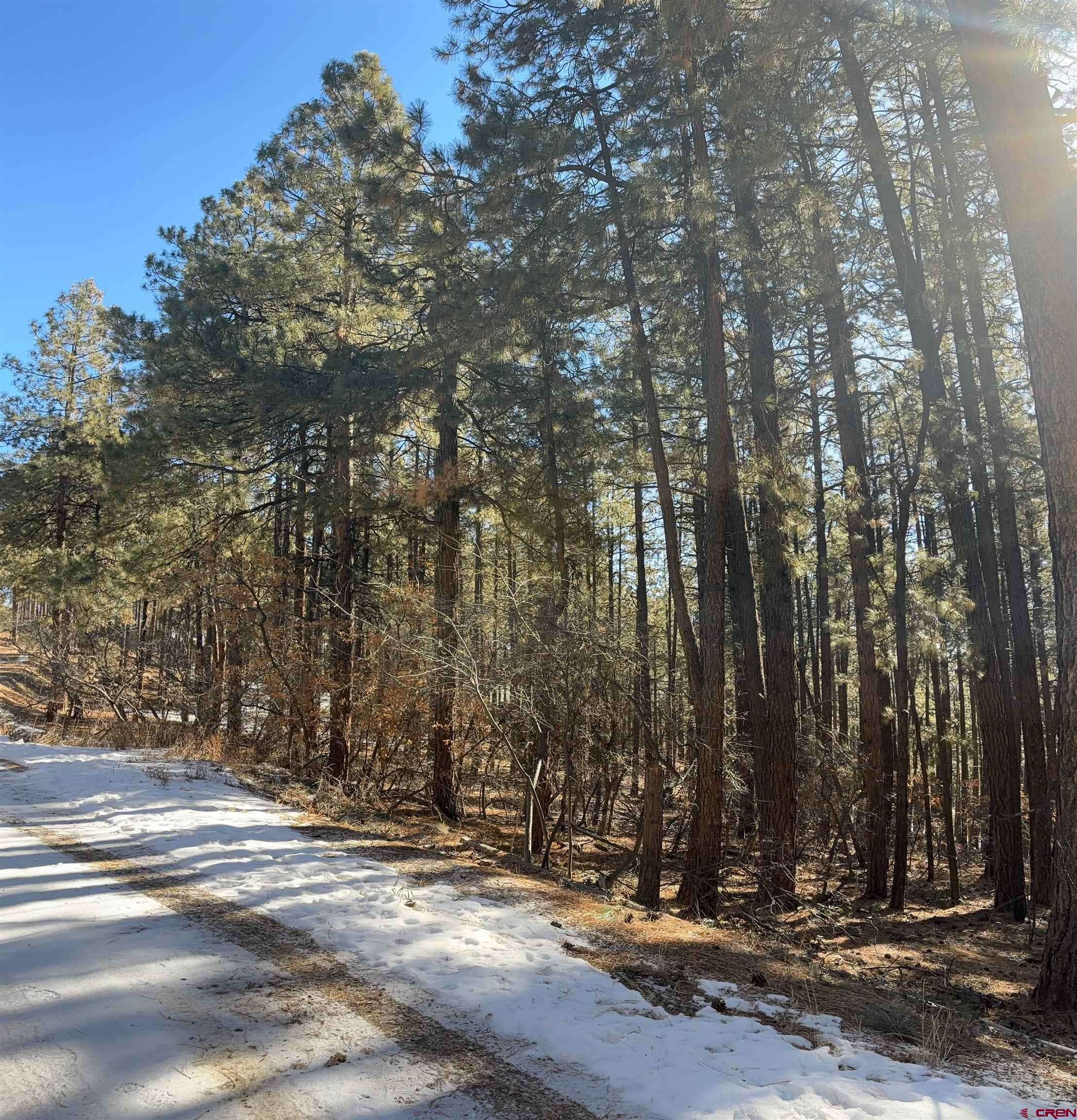 Bayfield, CO 81122,228 Timber Drive