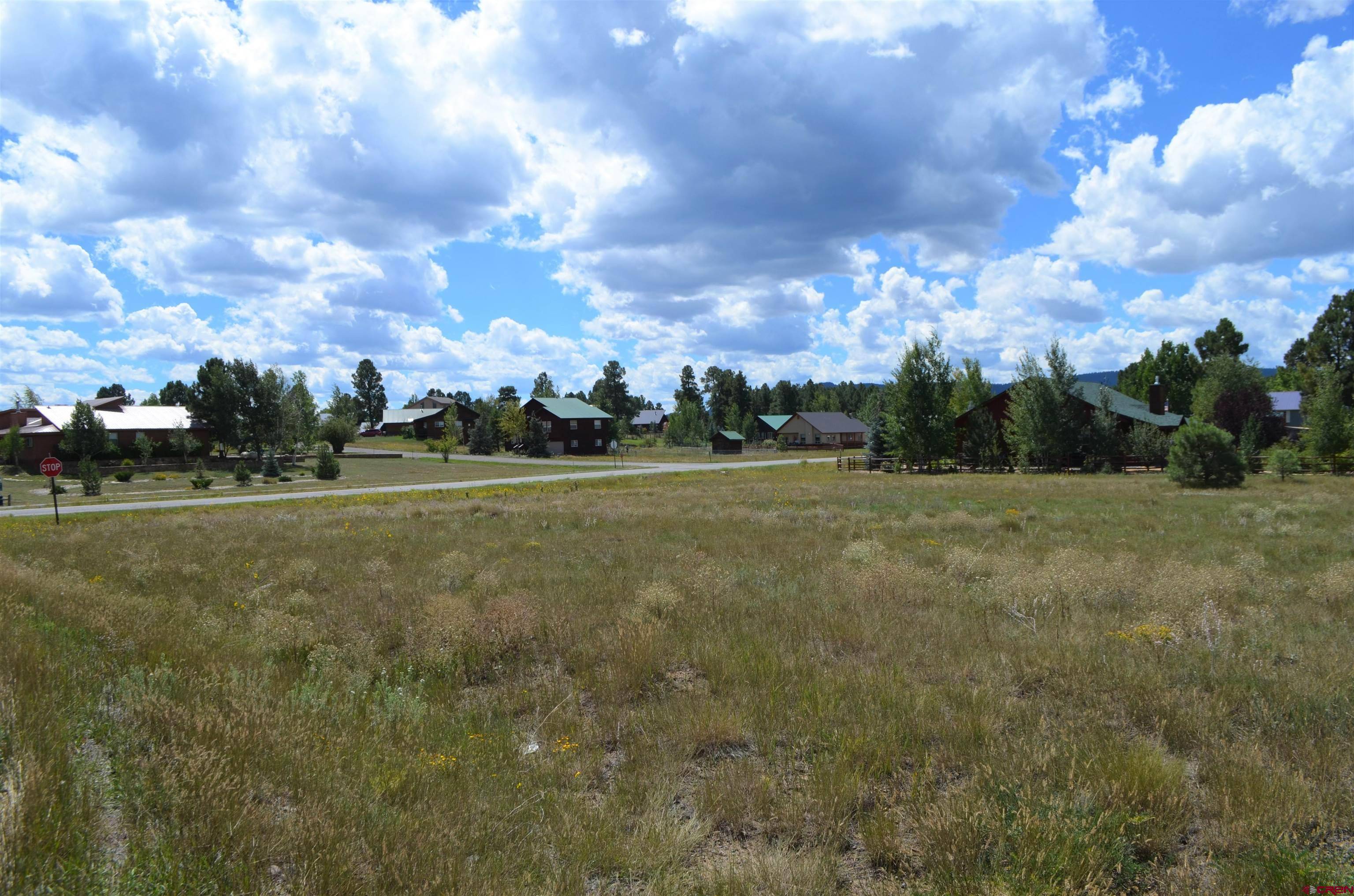 Pagosa Springs, CO 81147,18 Arrowhead Drive