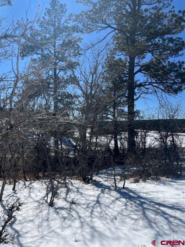 Pagosa Springs, CO 81147,80 Poplar Court