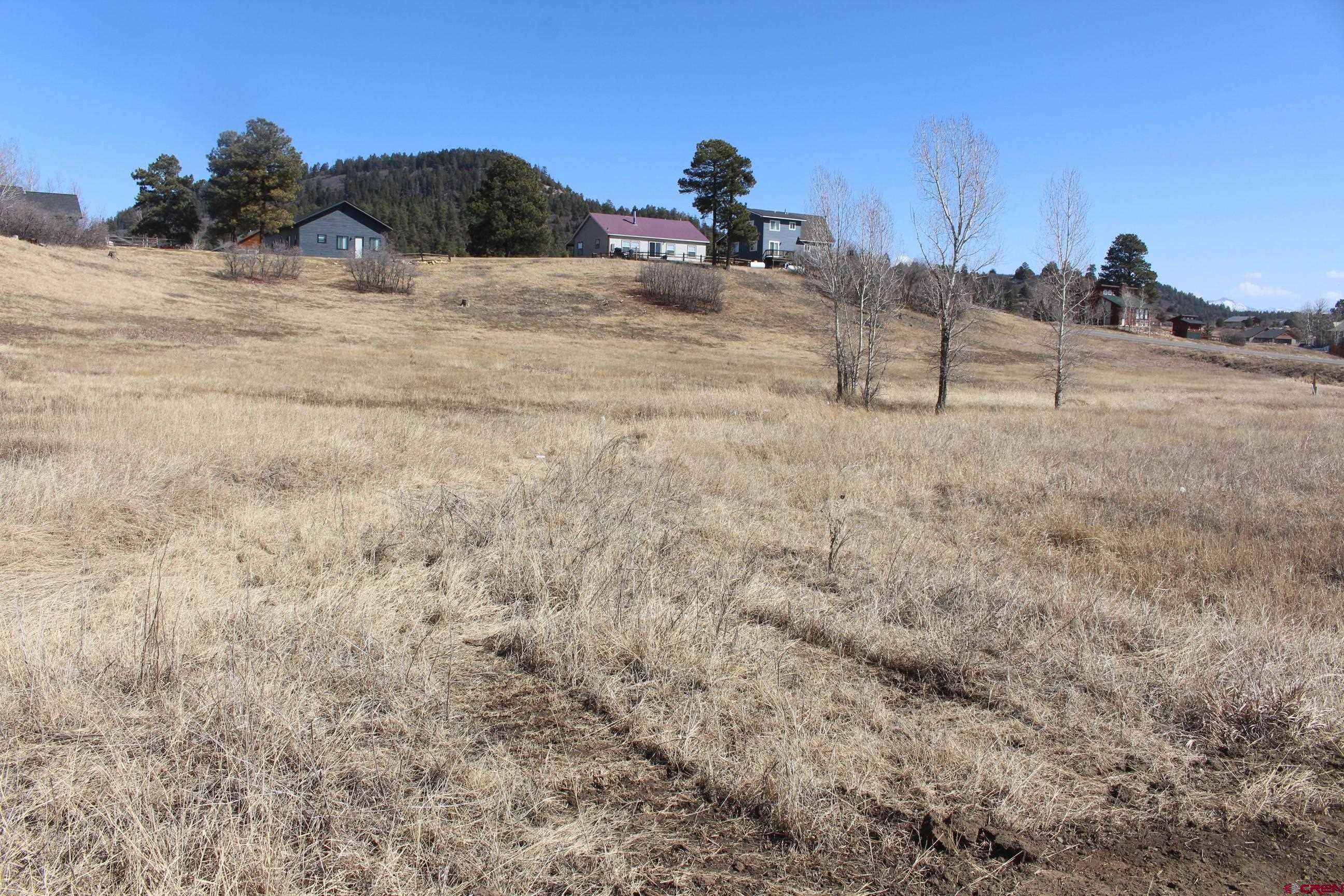 Pagosa Springs, CO 81147,1572 Hills Circle