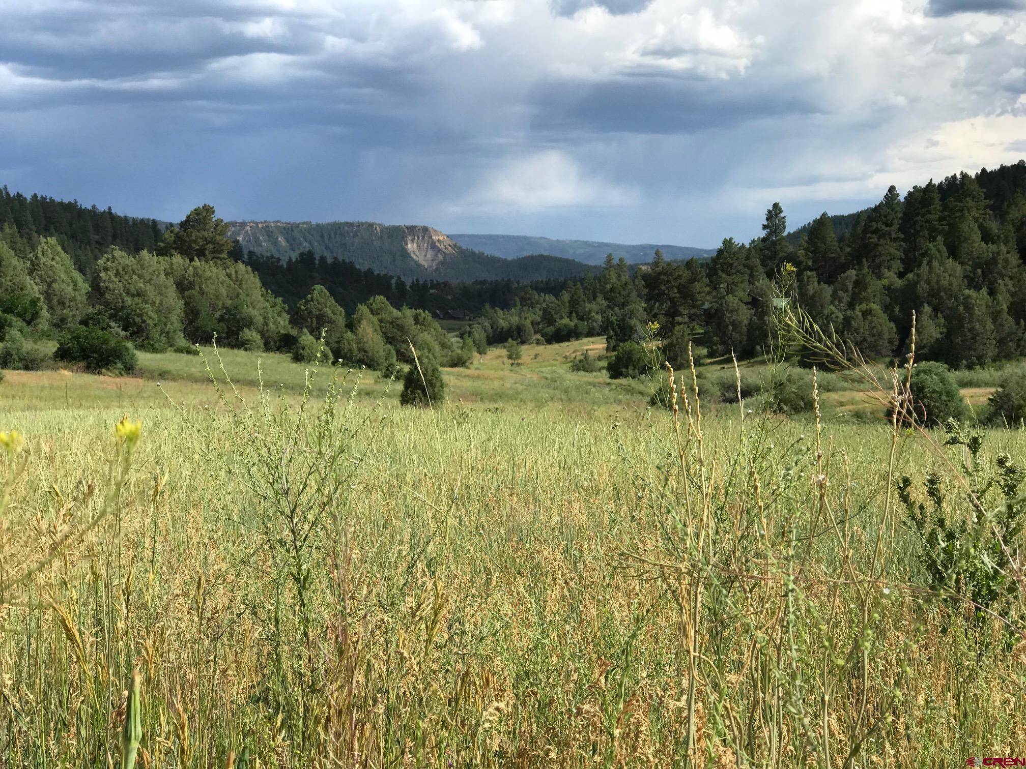 Pagosa Springs, CO 81147,273 Crestone Place