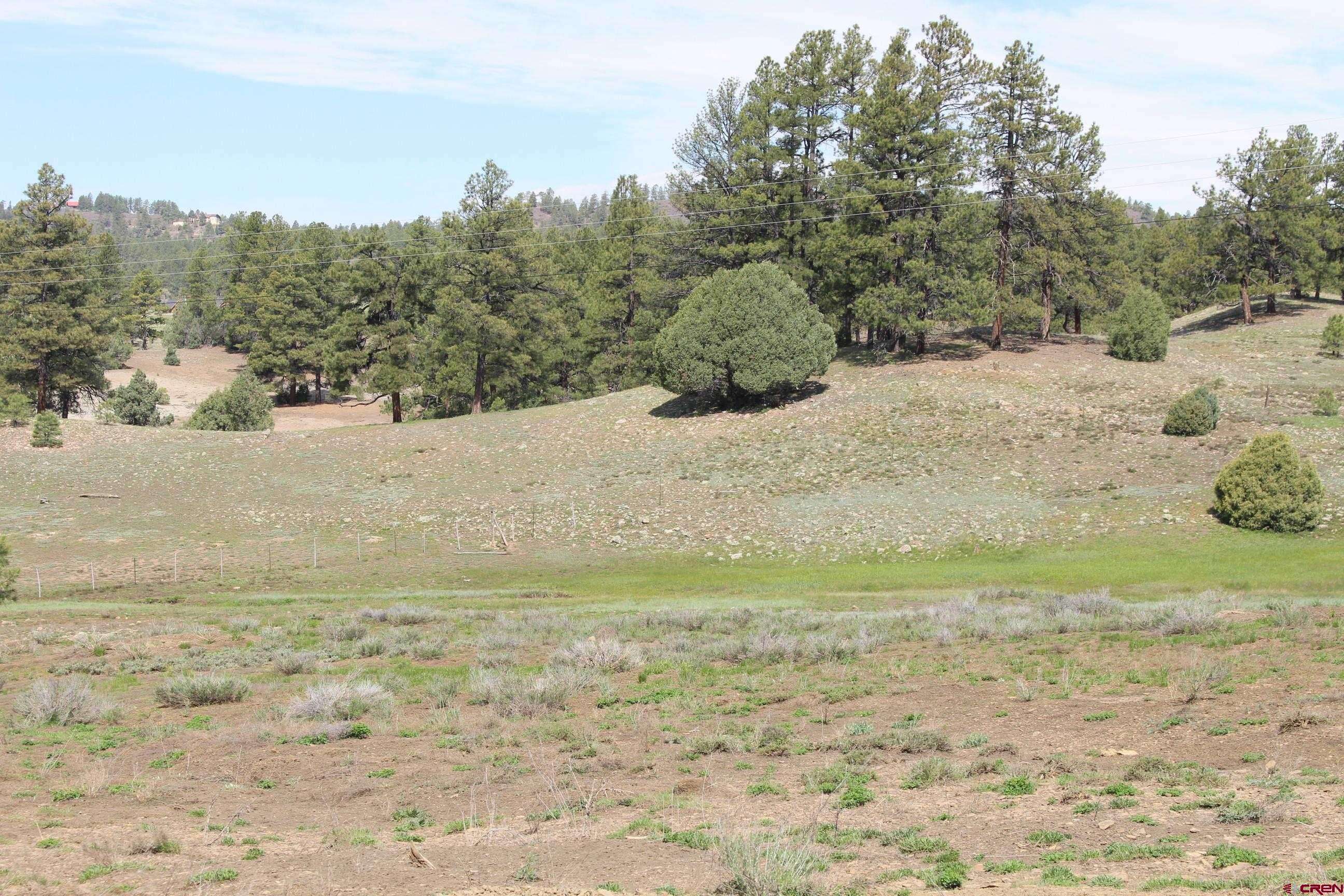 Pagosa Springs, CO 81147,2901 County Road 500